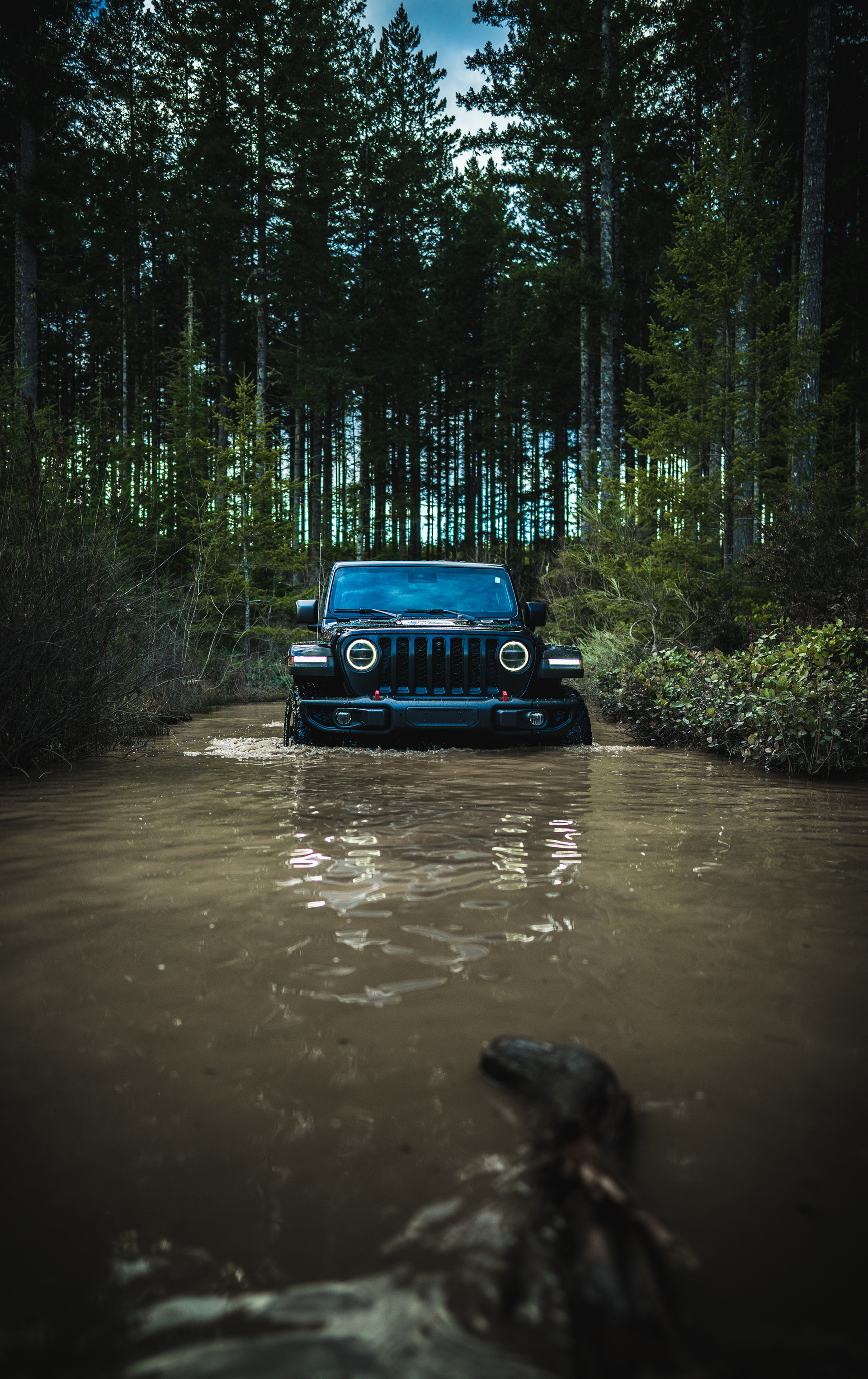 Washington: Off-roading