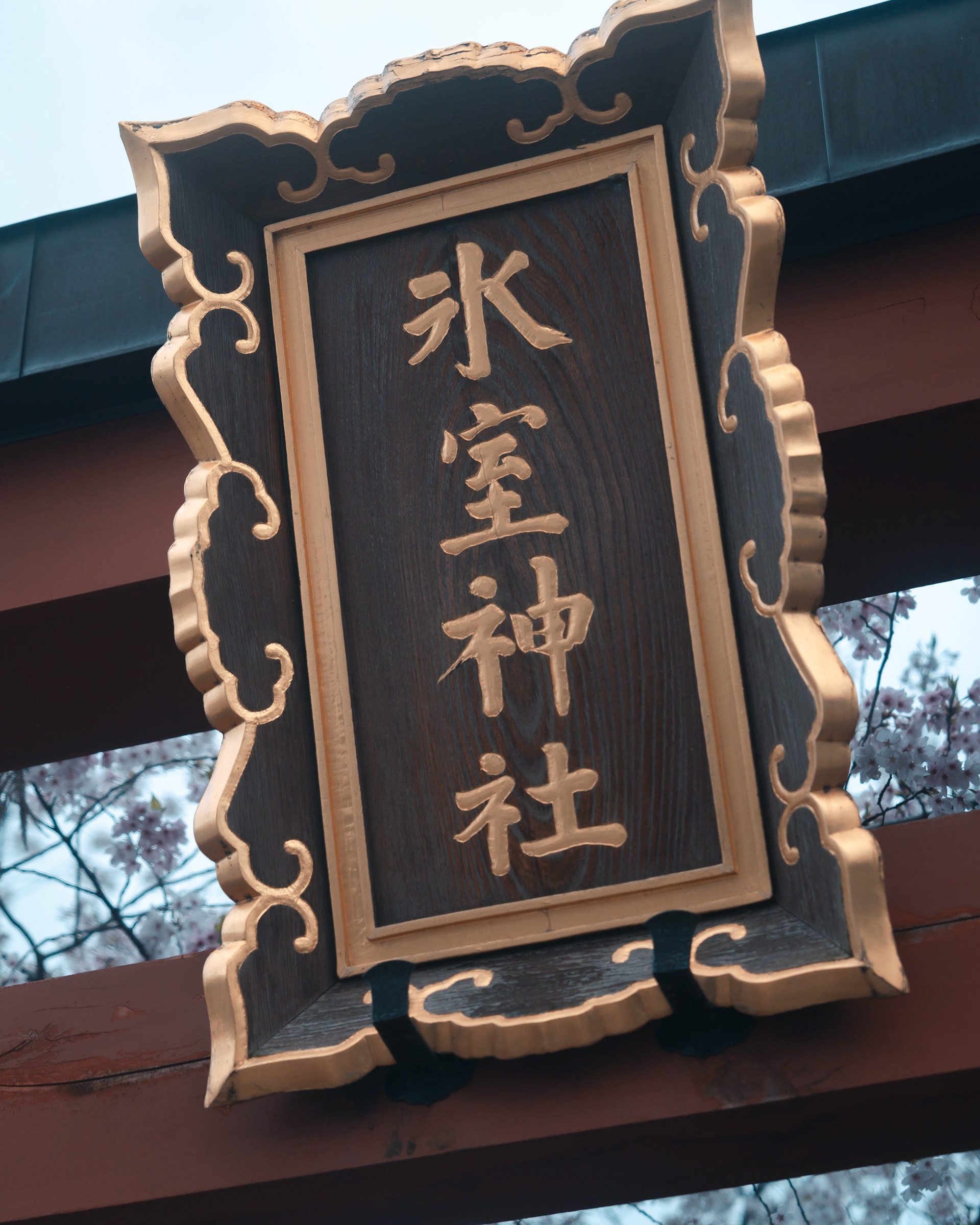 JAPAN 2024: Nara Park