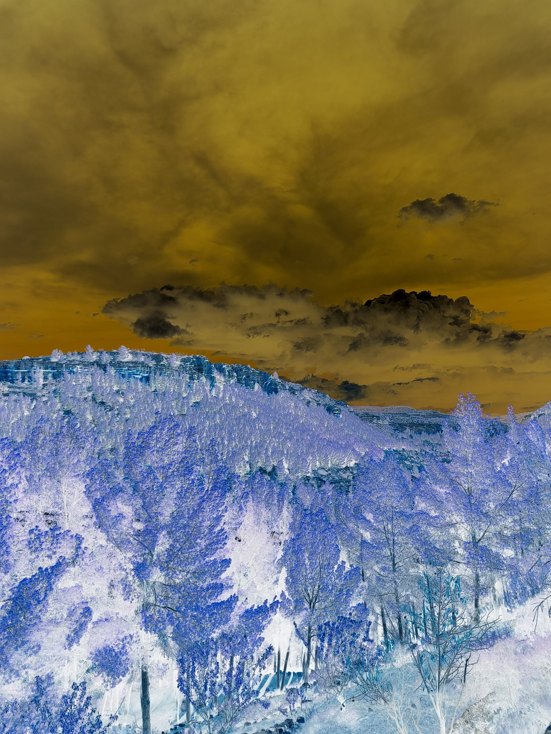 © Todos los derechos reservados. Prohibida la reproducción sin autorización.