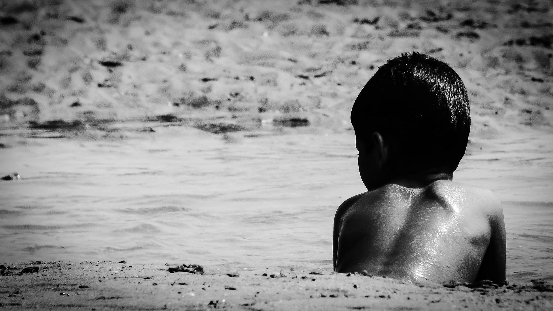 © Todos los derechos reservados. Prohibida la reproducción sin autorización.