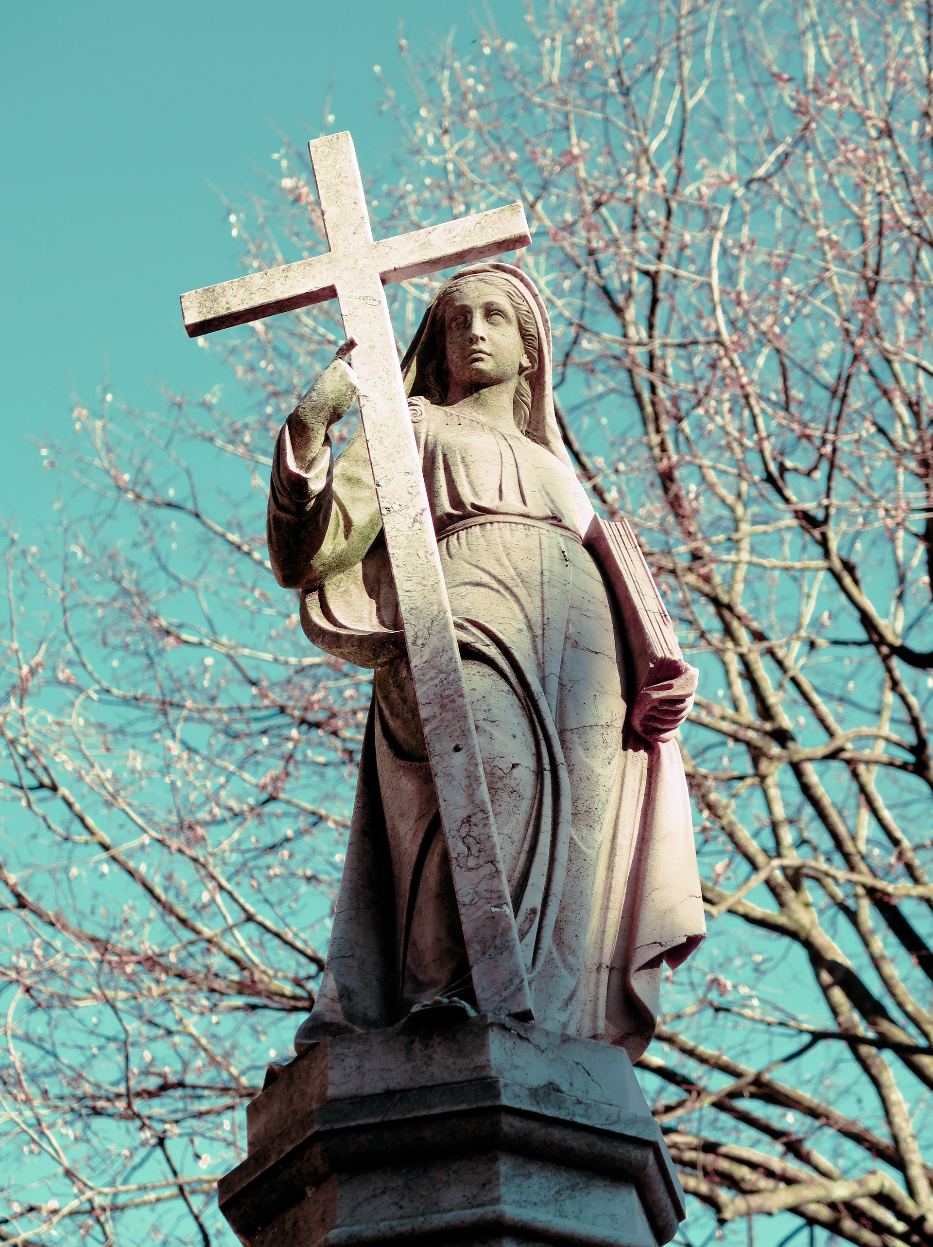 © Todos los derechos reservados. Prohibida la reproducción sin autorización.