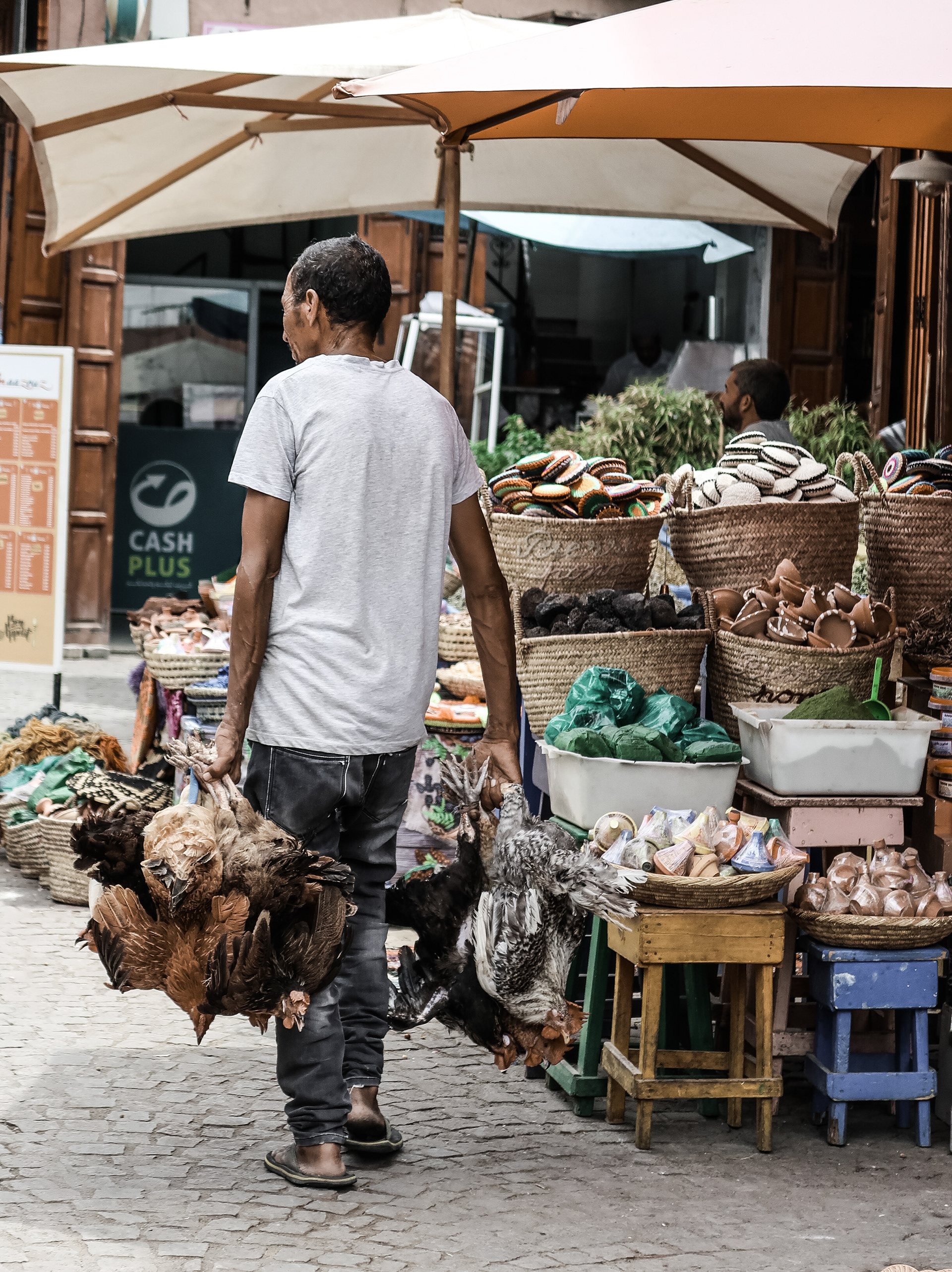 © Todos los derechos reservados. Prohibida la reproducción sin autorización.