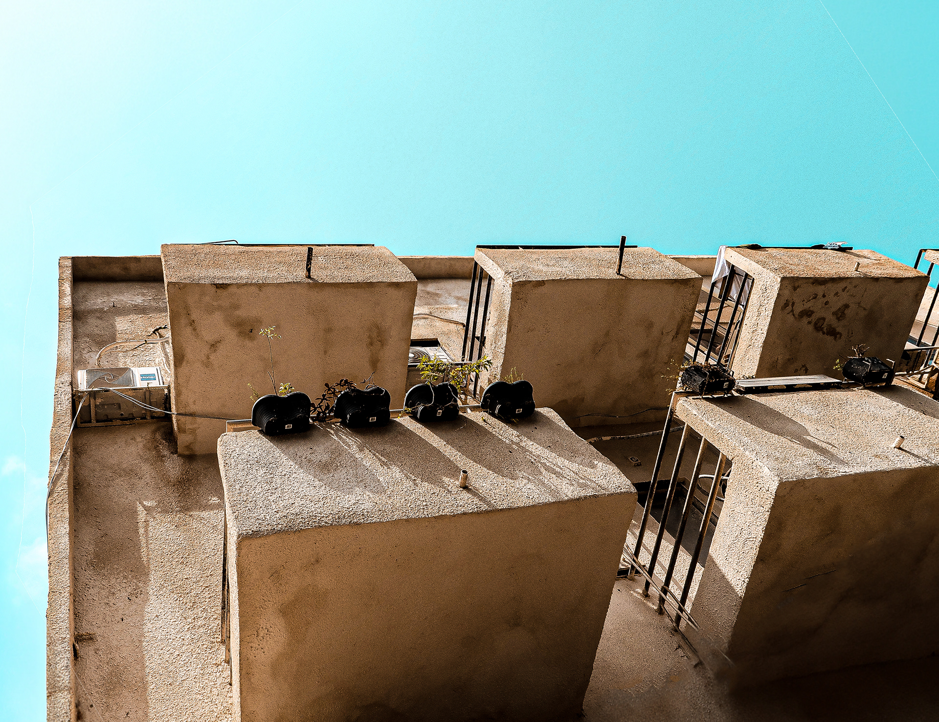 © Todos los derechos reservados. Prohibida la reproducción sin autorización.