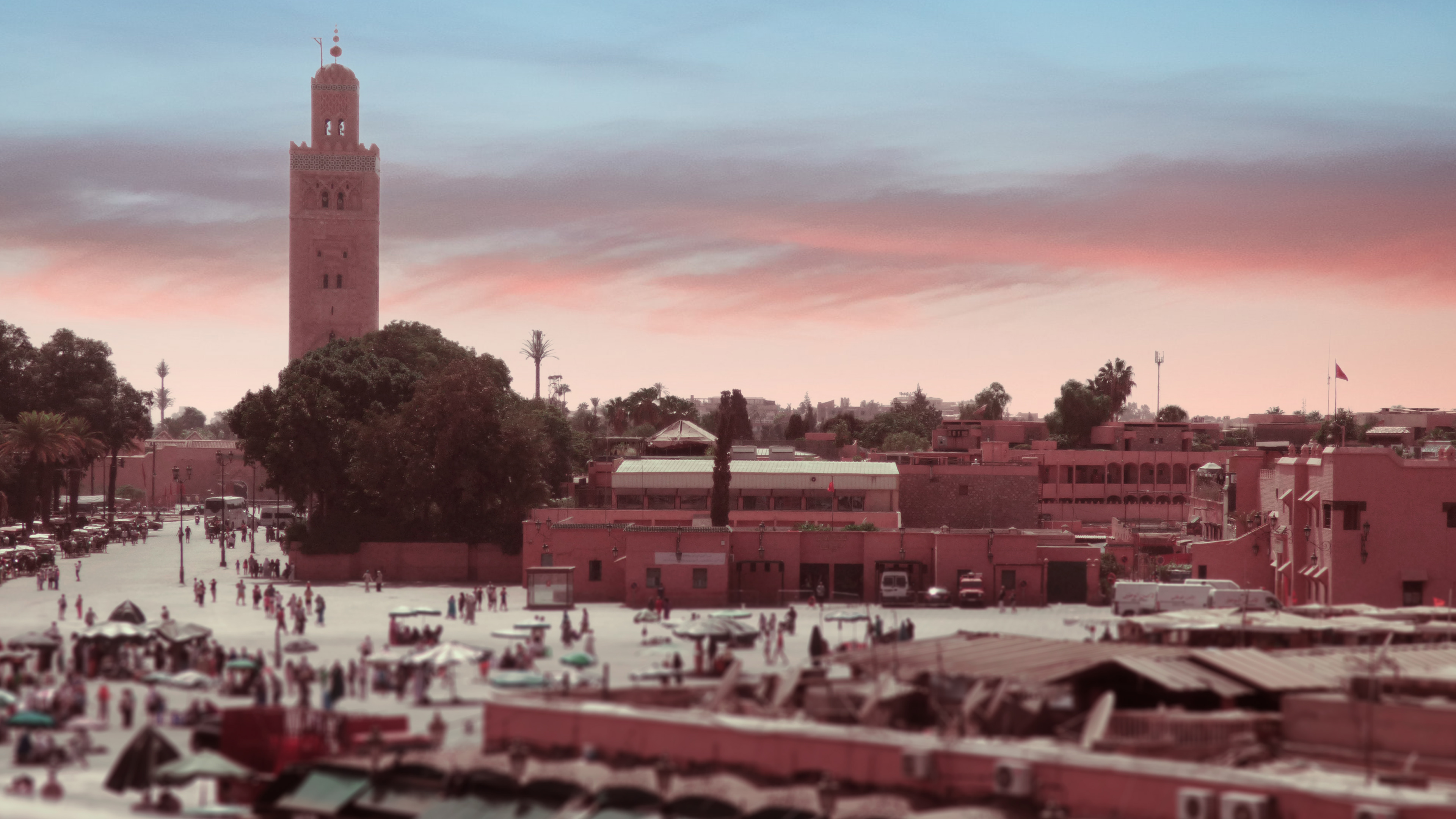 © Todos los derechos reservados. Prohibida la reproducción sin autorización.