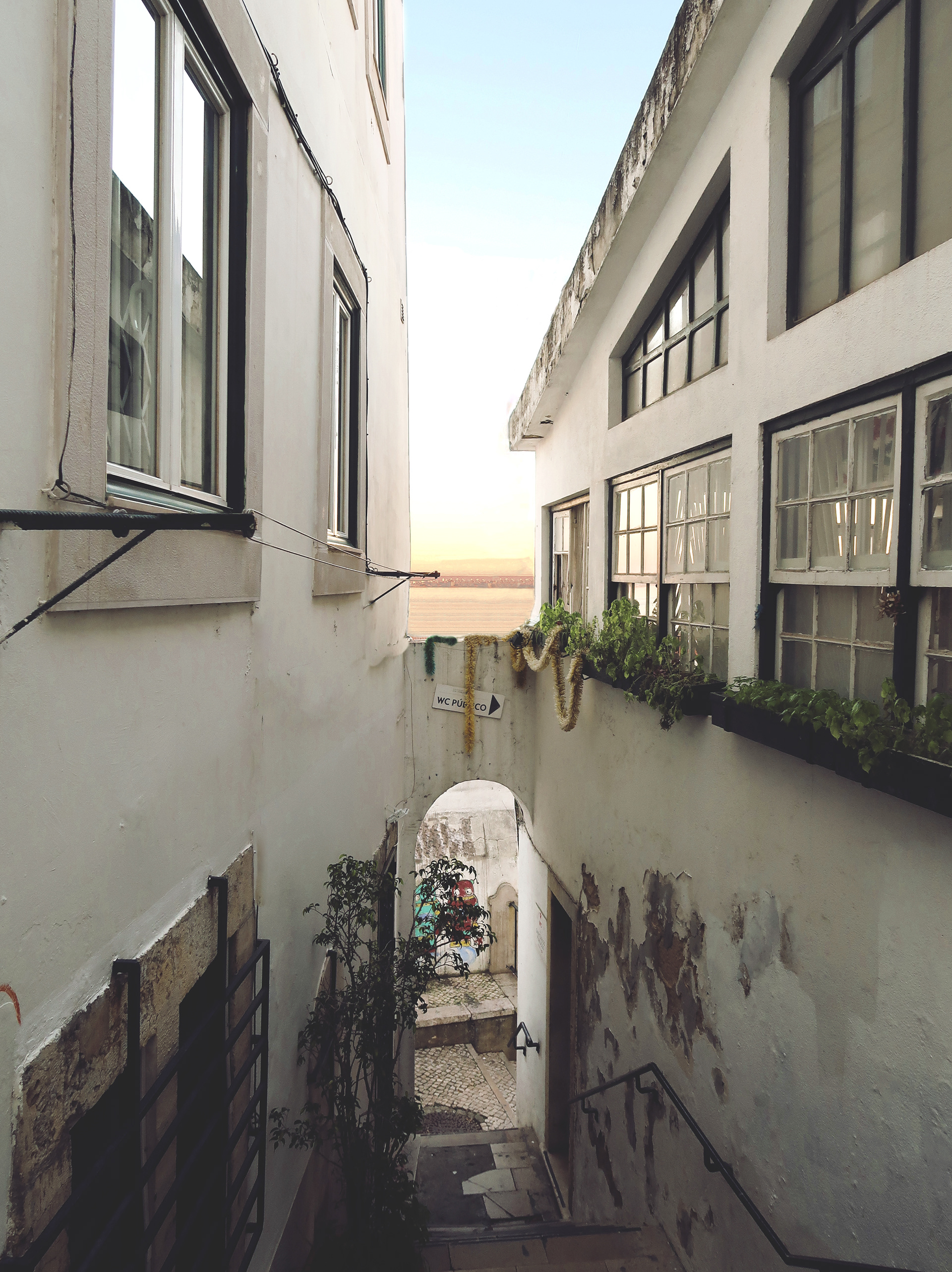 © Todos los derechos reservados. Prohibida la reproducción sin autorización.