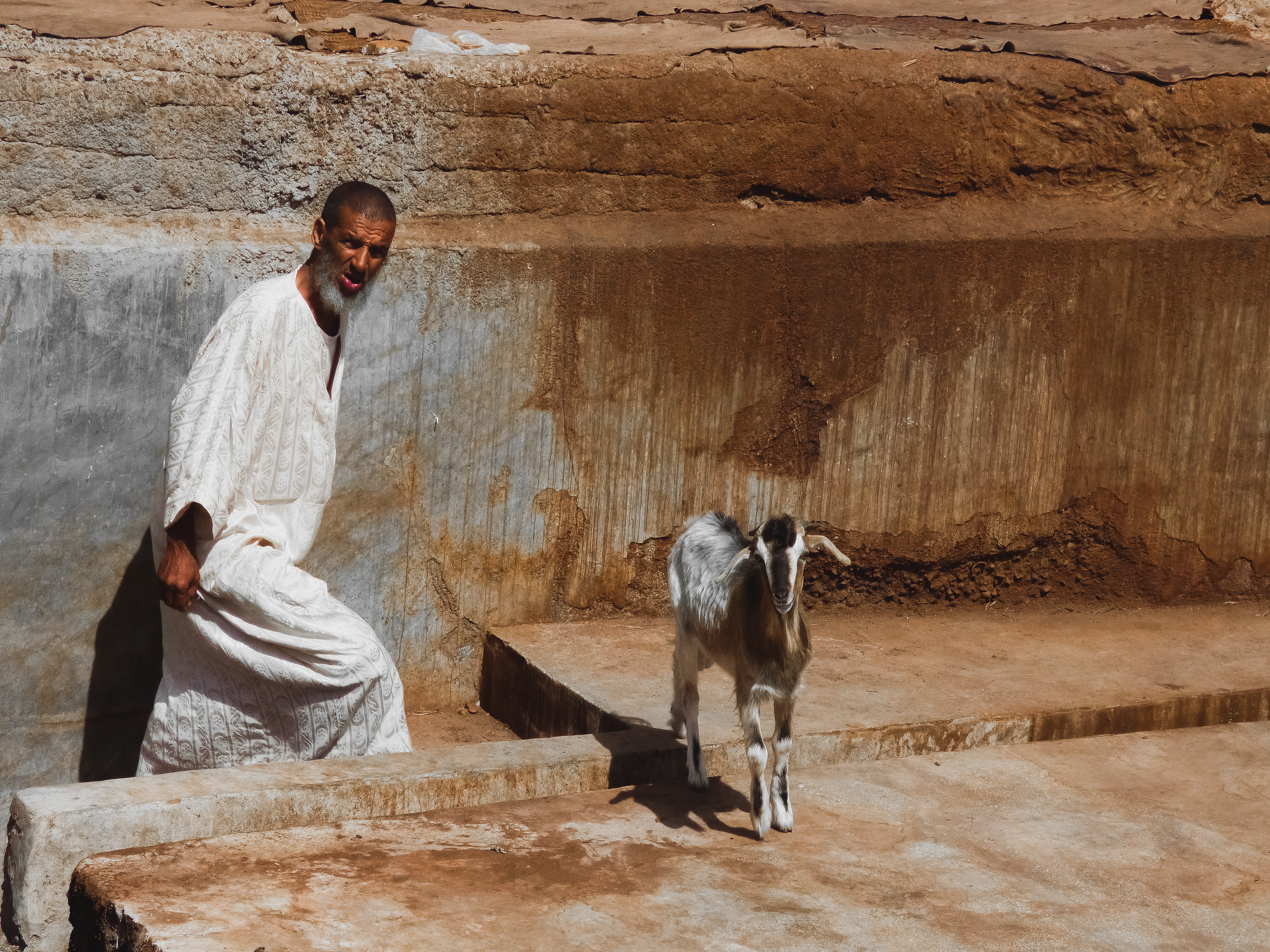 © Todos los derechos reservados. Prohibida la reproducción sin autorización.