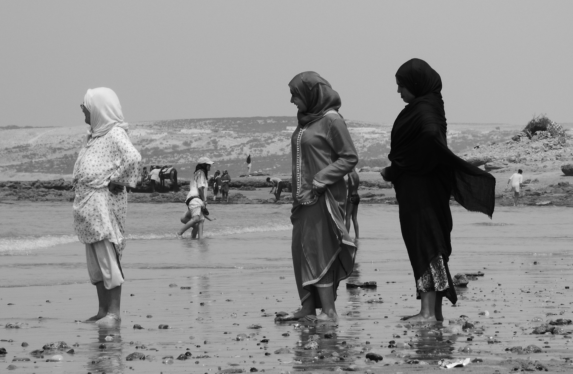 © Todos los derechos reservados. Prohibida la reproducción sin autorización.