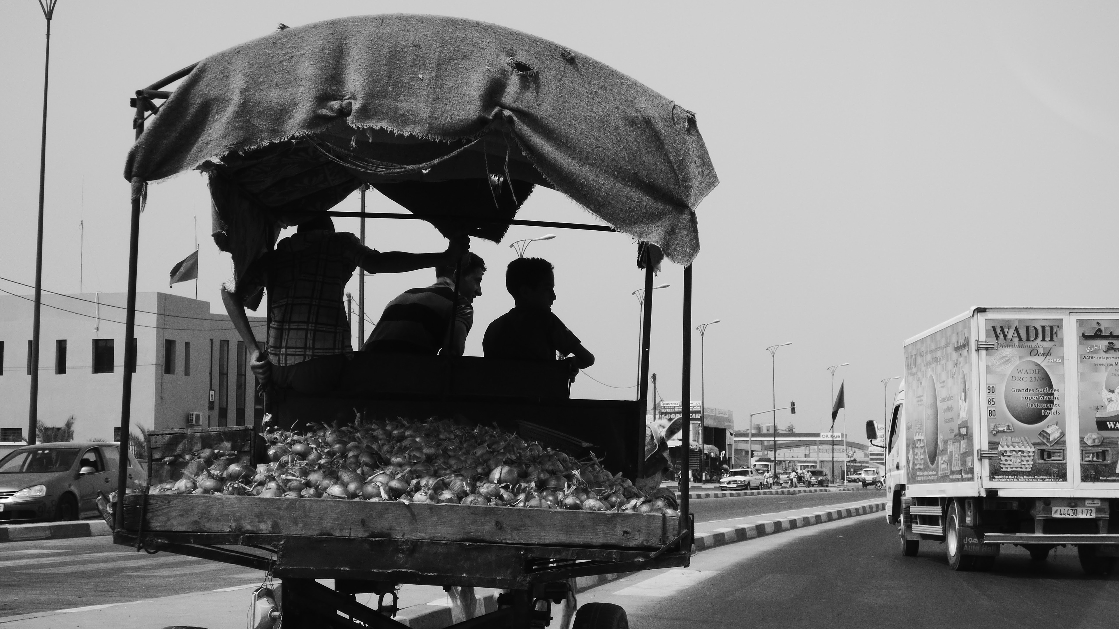 © Todos los derechos reservados. Prohibida la reproducción sin autorización.