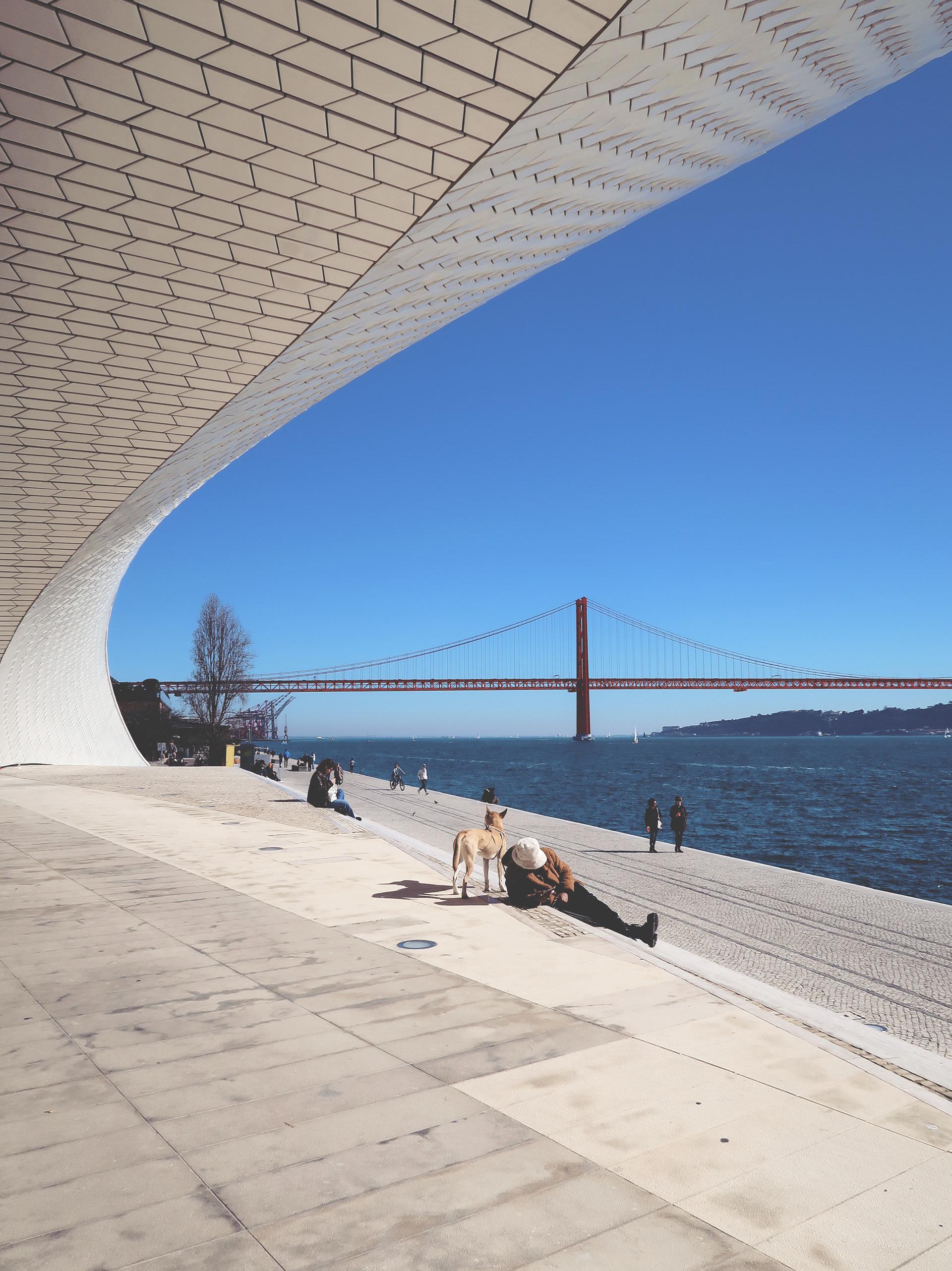 © Todos los derechos reservados. Prohibida la reproducción sin autorización.