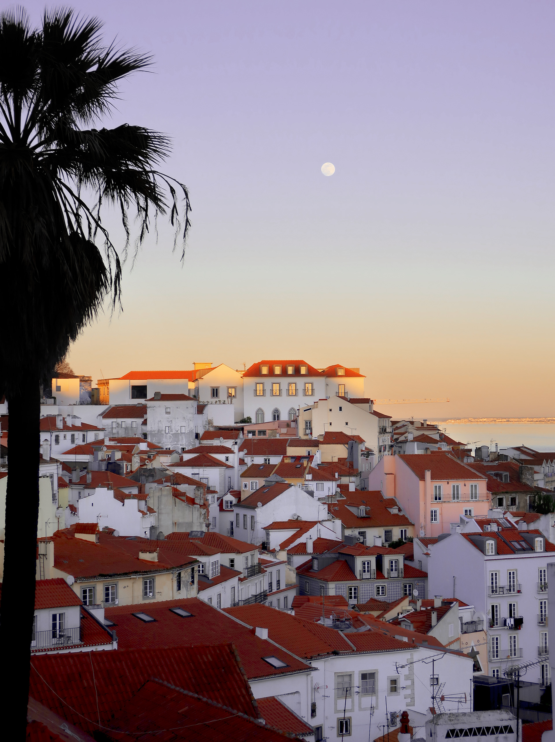 © Todos los derechos reservados. Prohibida la reproducción sin autorización.