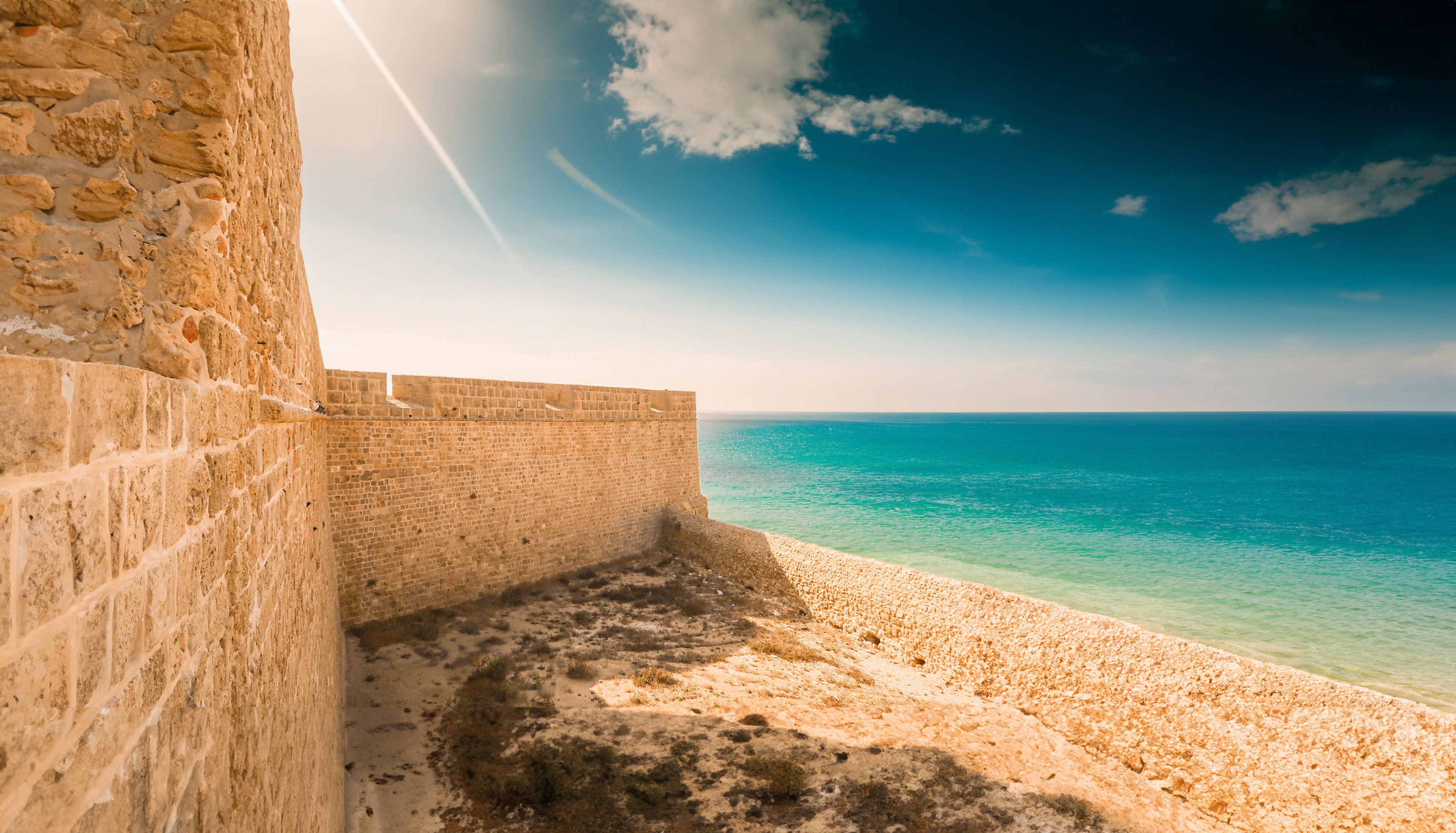 © Todos los derechos reservados. Prohibida la reproducción sin autorización.