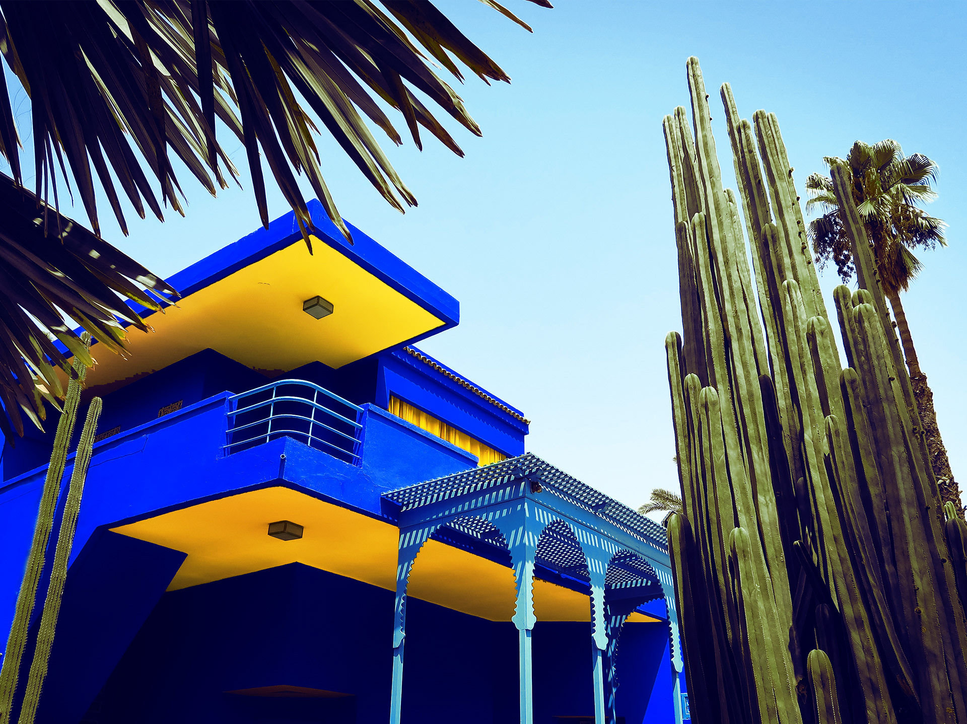 © Todos los derechos reservados. Prohibida la reproducción sin autorización.