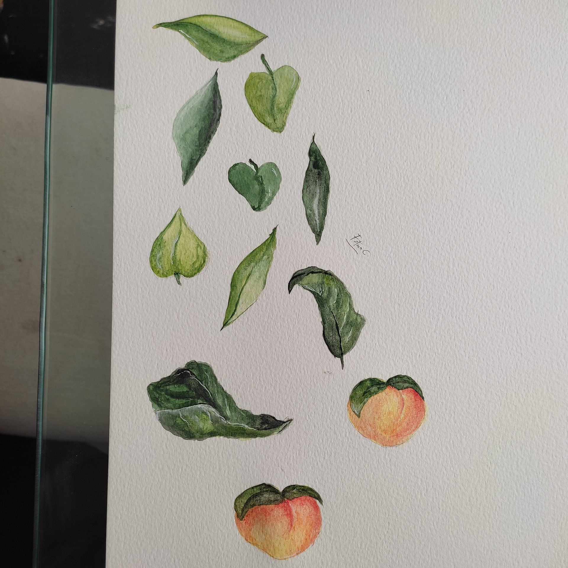 Naturaleza, técnica en acuarela.
