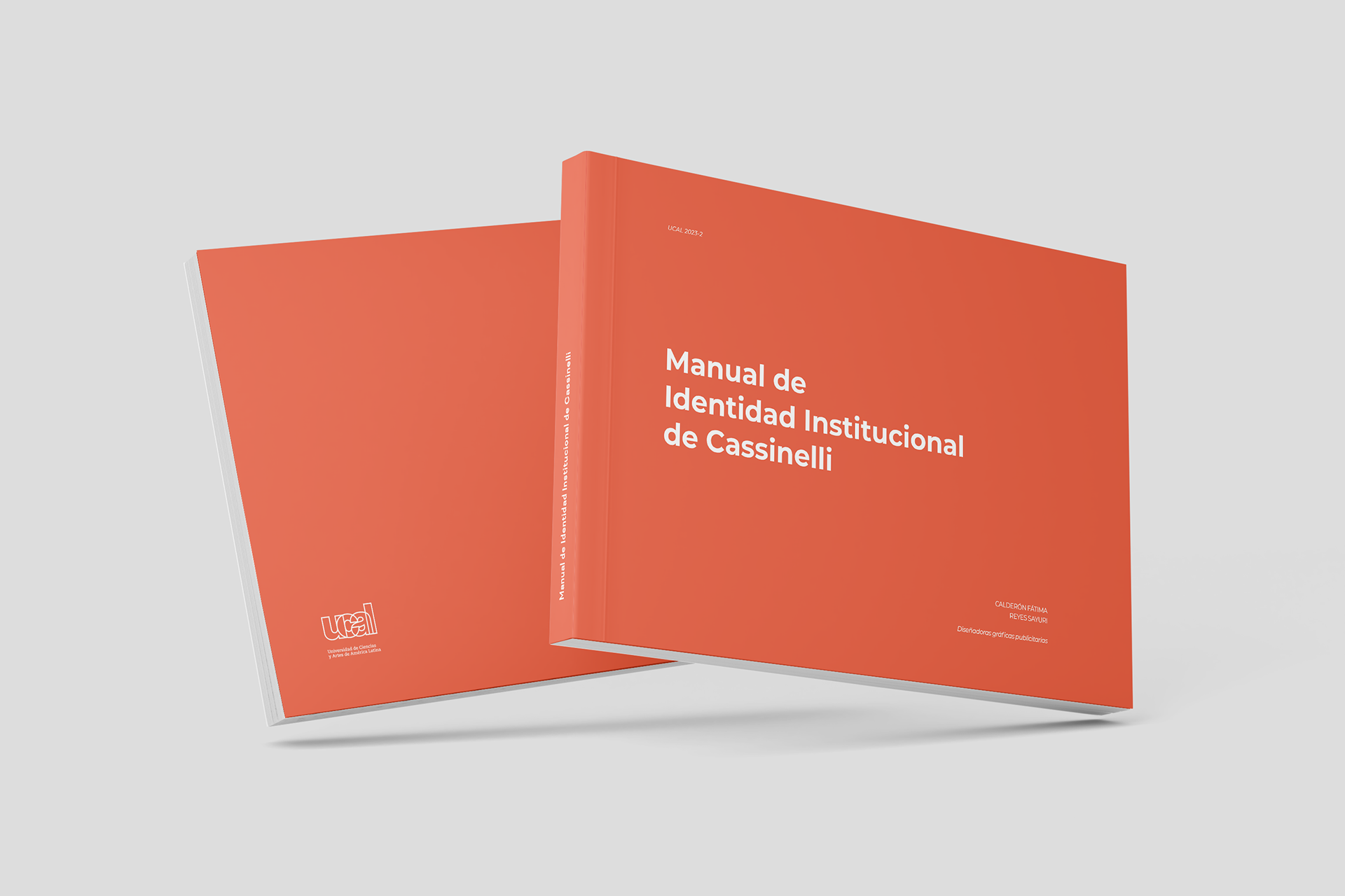 Manual