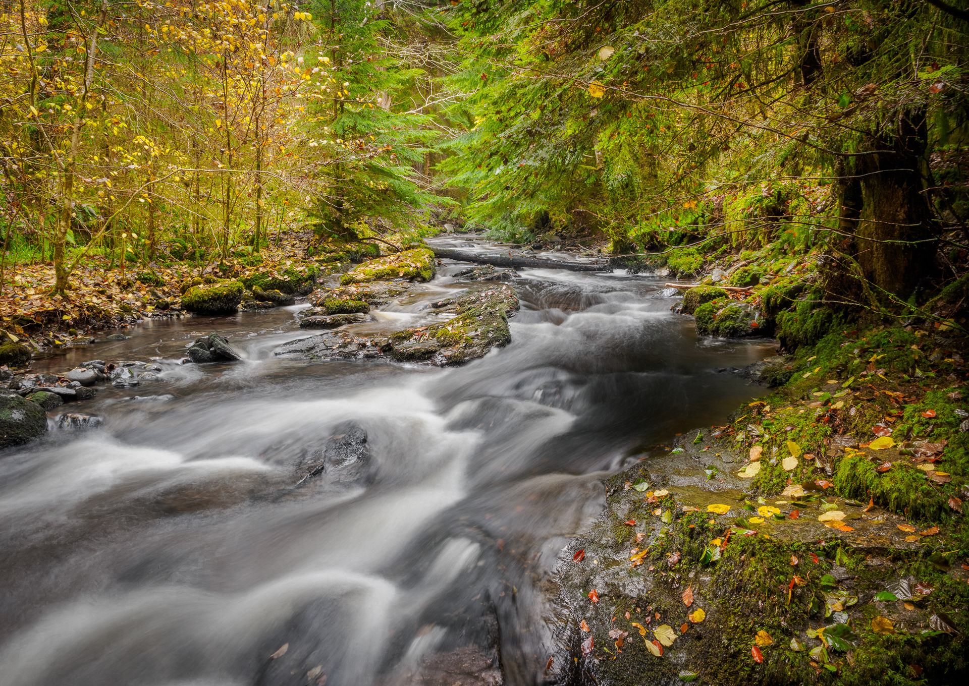 Moniack Burn, Reelig Glen