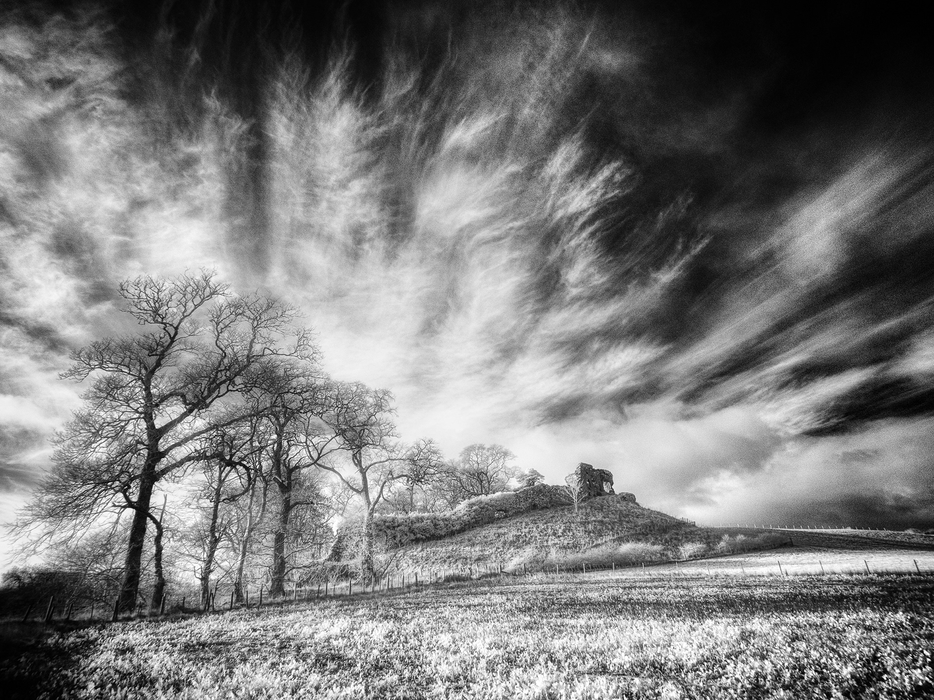 Skelbo Castle, Surtherland