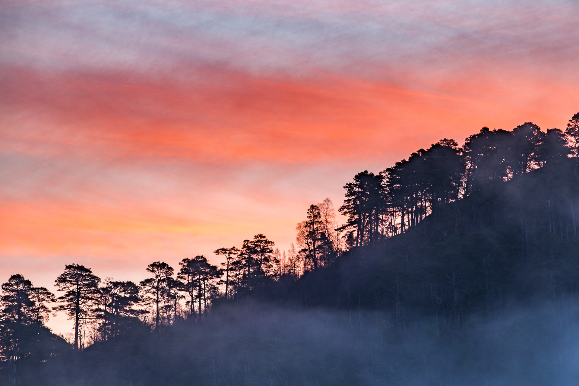 Glen Affric
