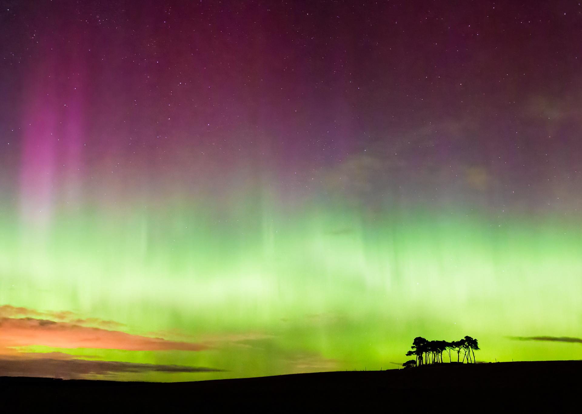 Gollanfield Aurora