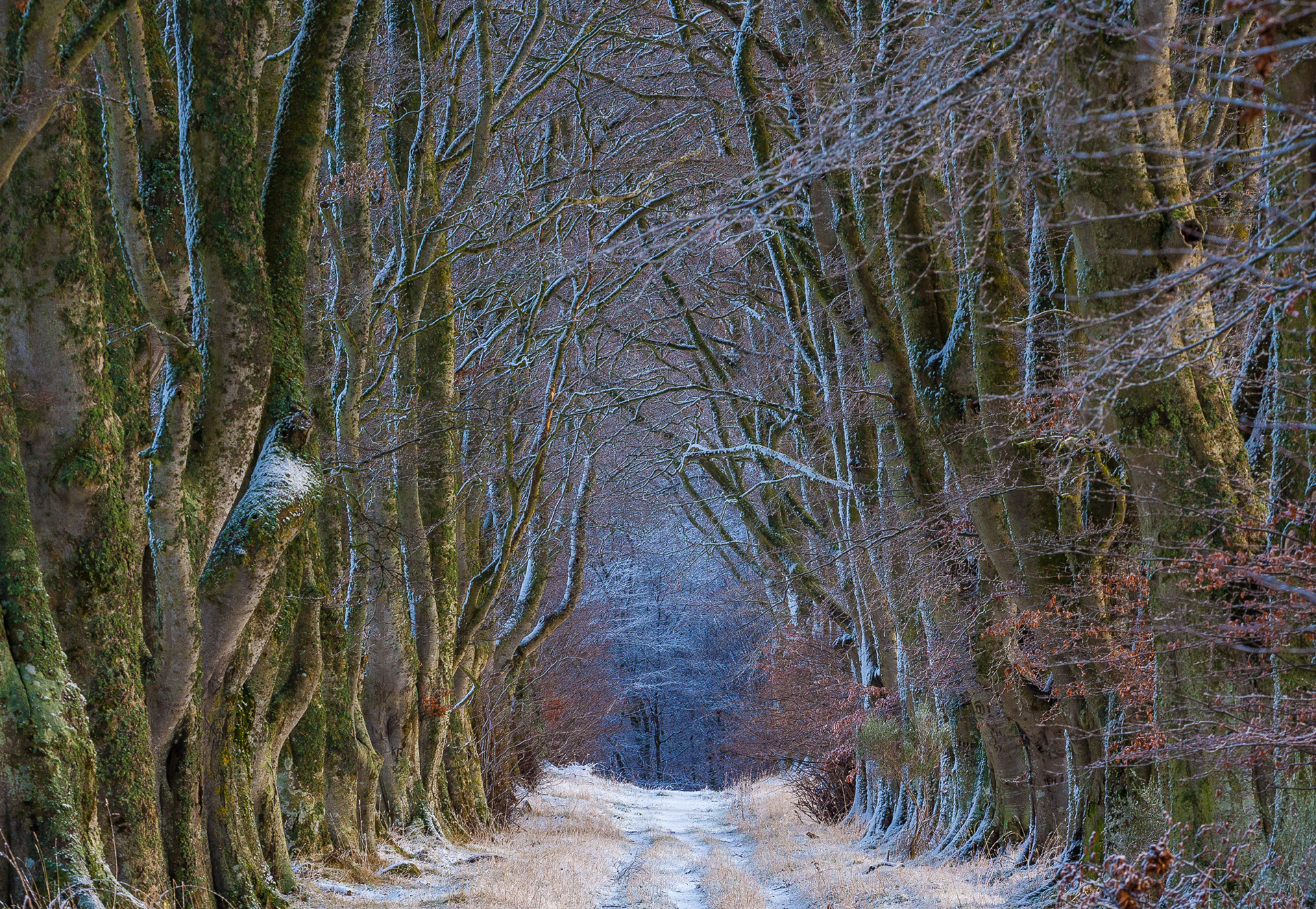 Kilravock