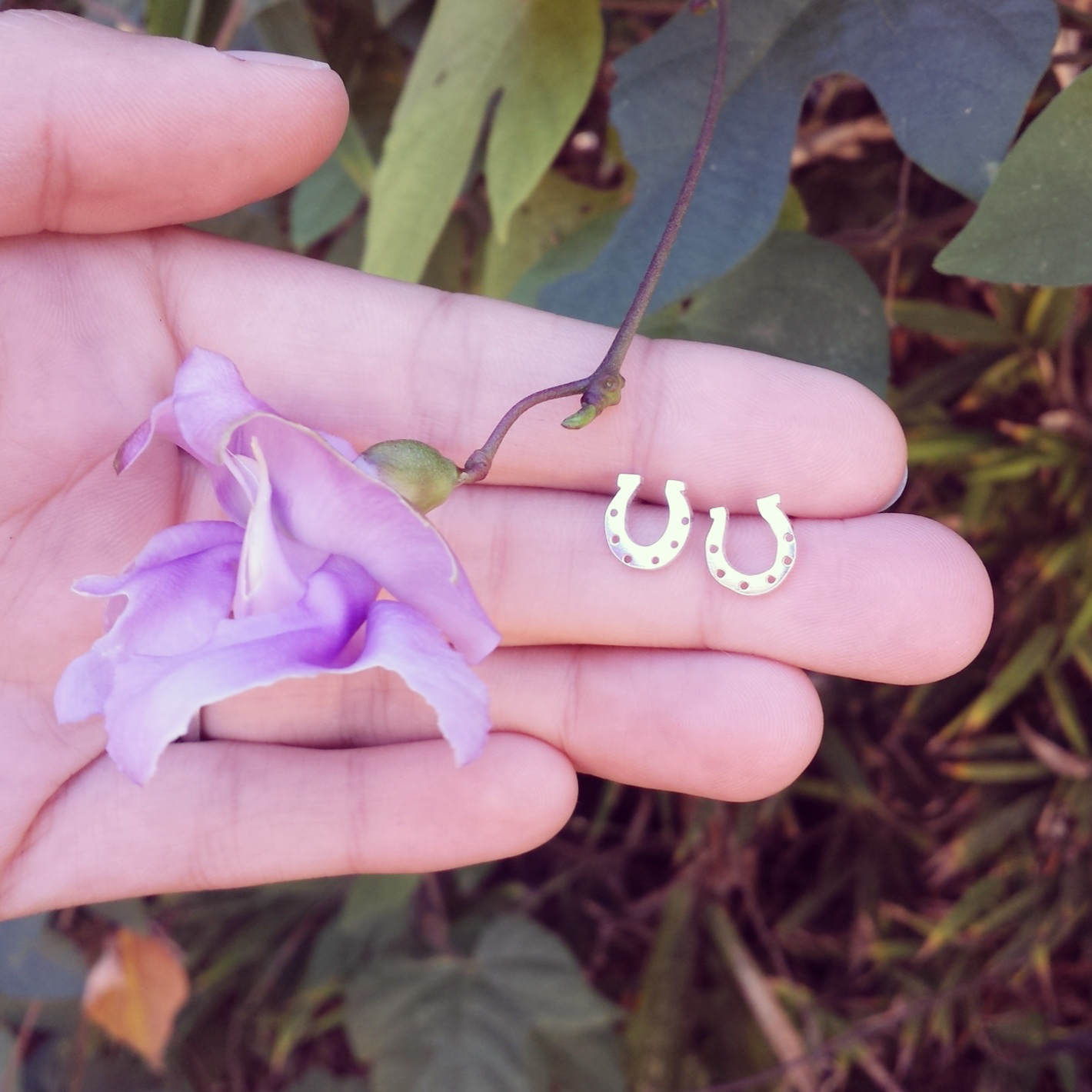 Custom horse-shoe earrings