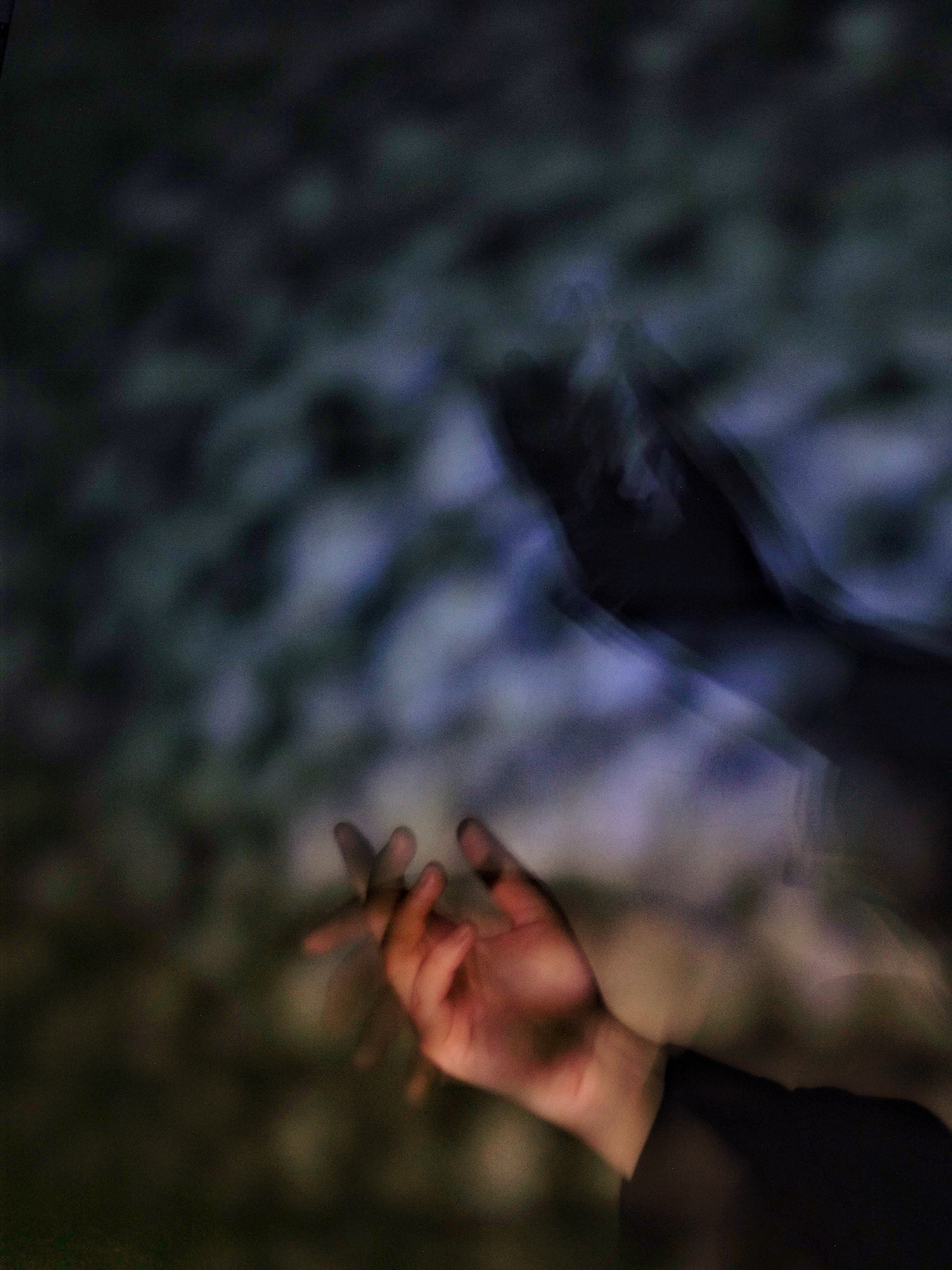 The Creation of Eve (still)