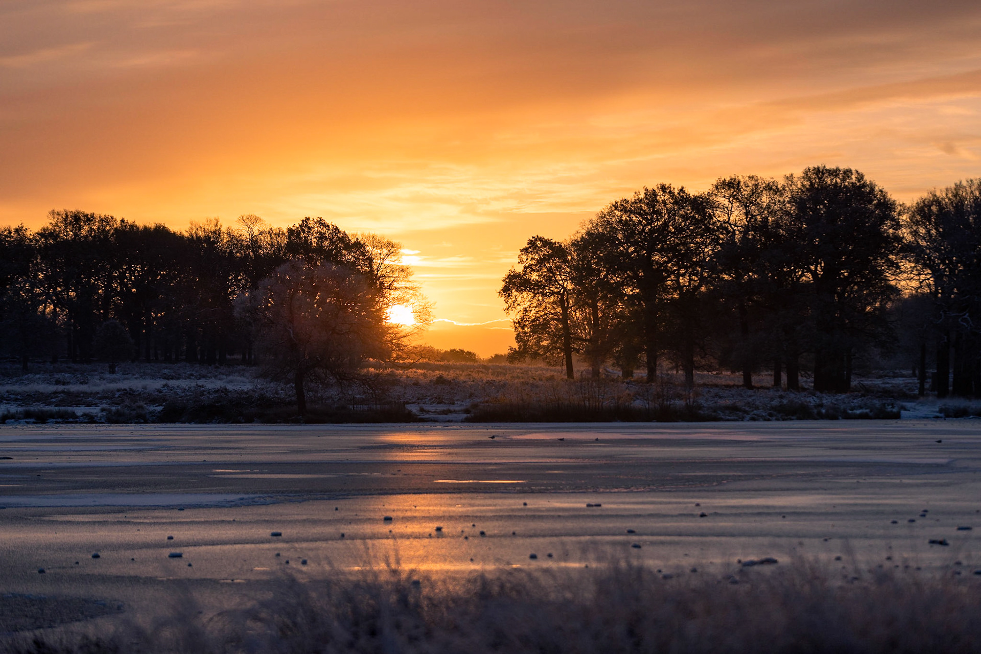 Winter Sunrise over Pen Ponds, Richmond Park 2