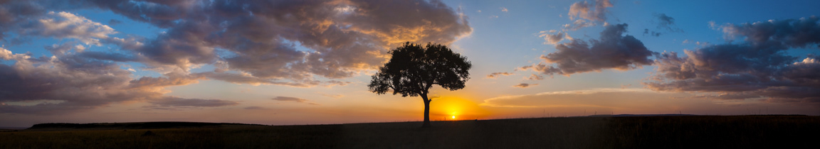 African Sunset