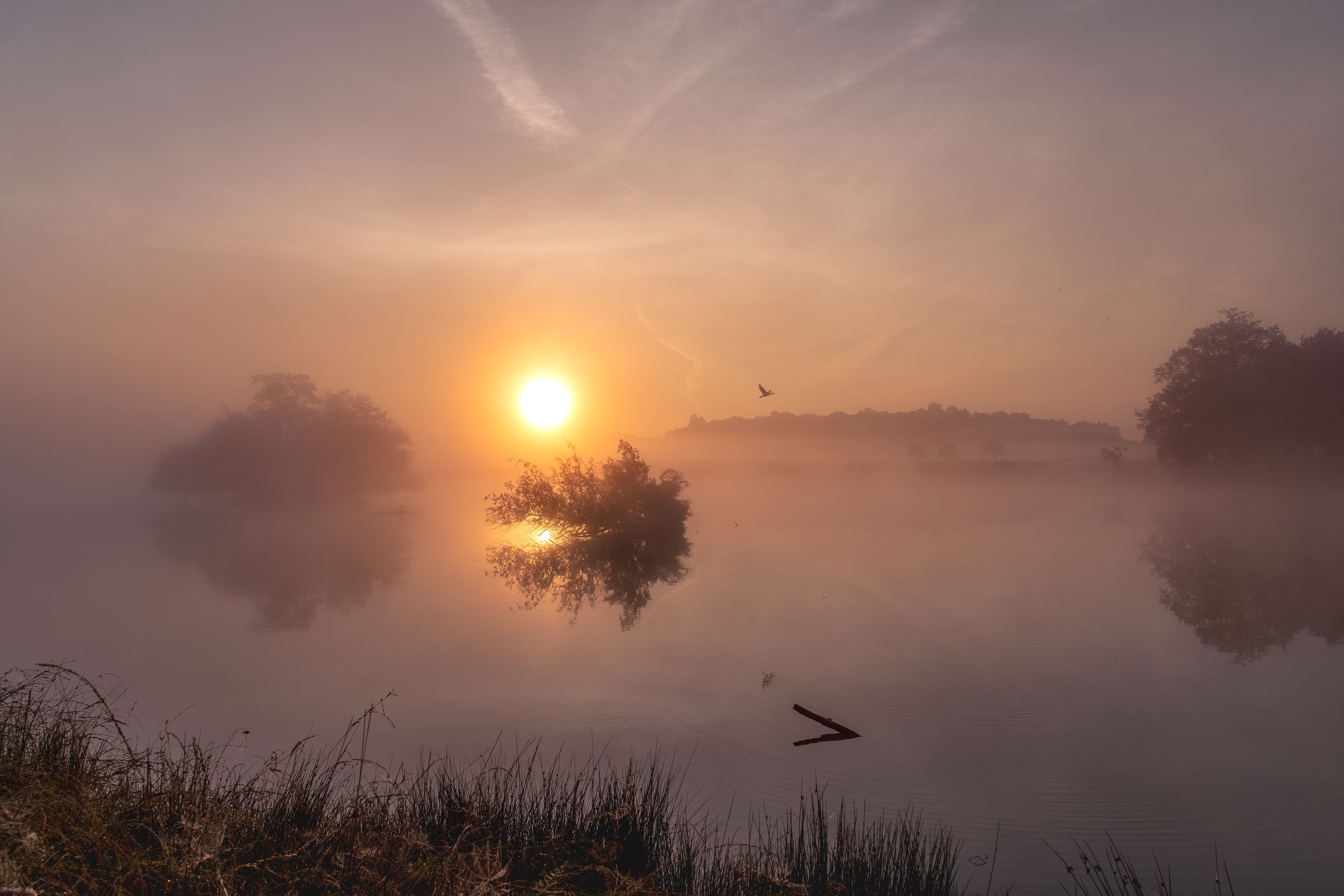 Pen Ponds Lake Richmond Park