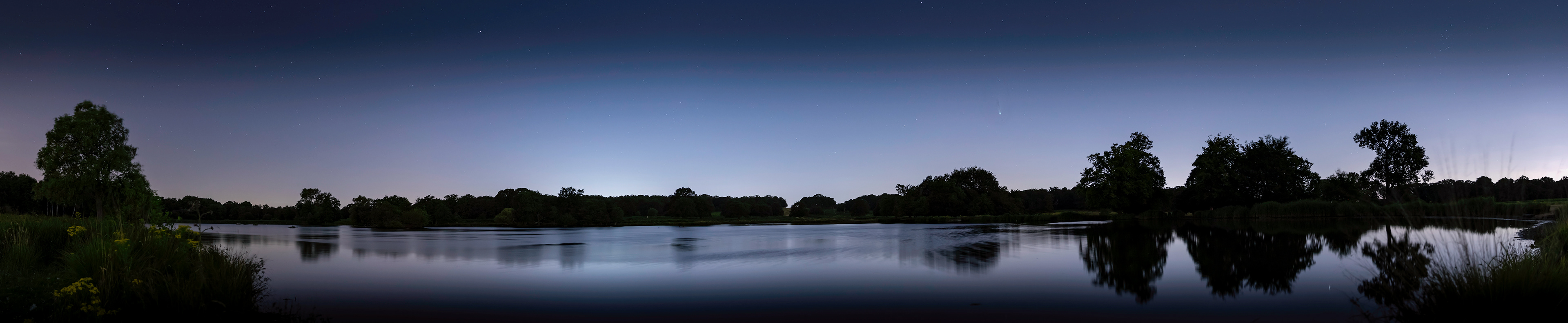 Neowise Comet over Richmond Park