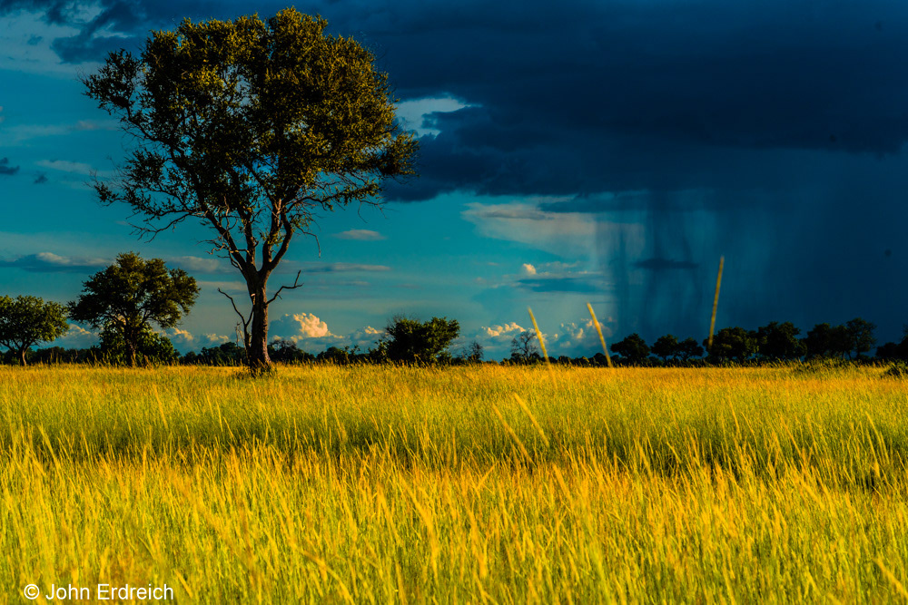 Approaching Thunderstorm