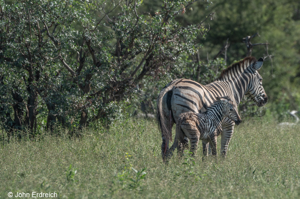 Mother and Newborn