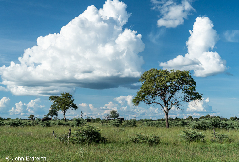 Developind Fhunder Clouds