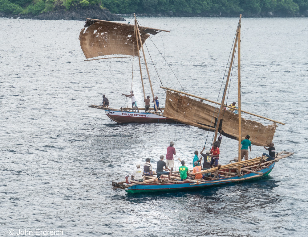 Searching for the Whale