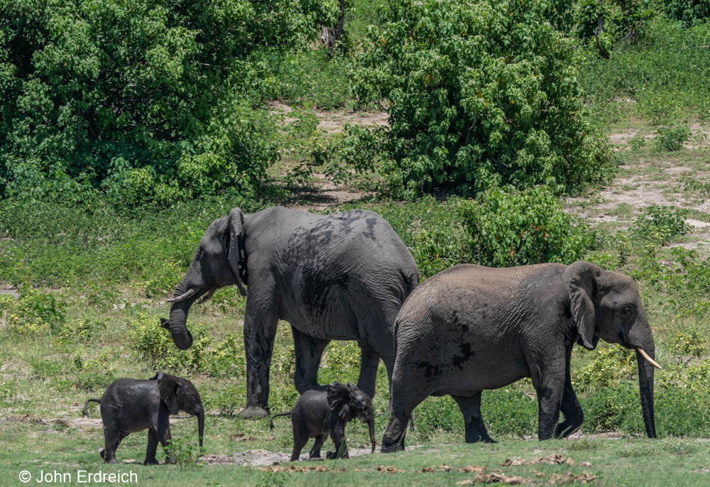 Mothers and Children I