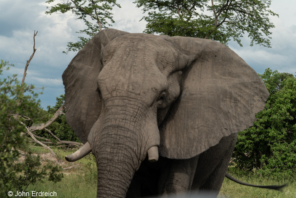 Close Encounter
