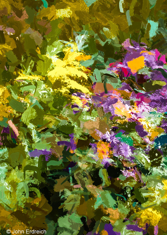 Goldenrod and Asters I