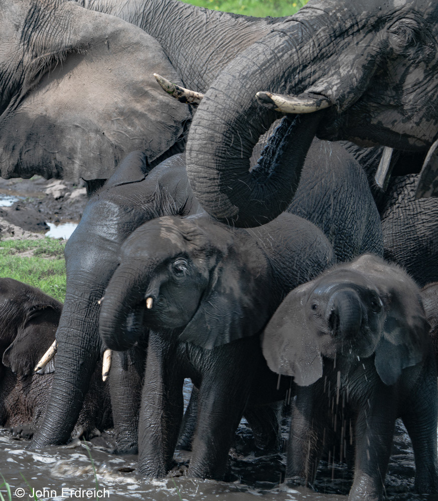 Mothers and Children II