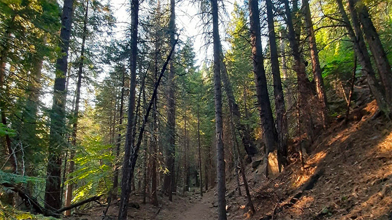 Trestle Trail