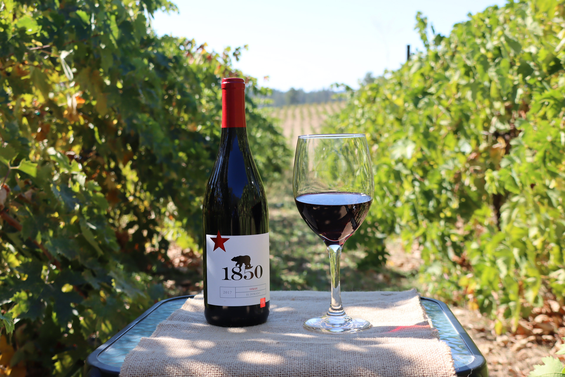 Bottle of petite sirah and glass in vineyard