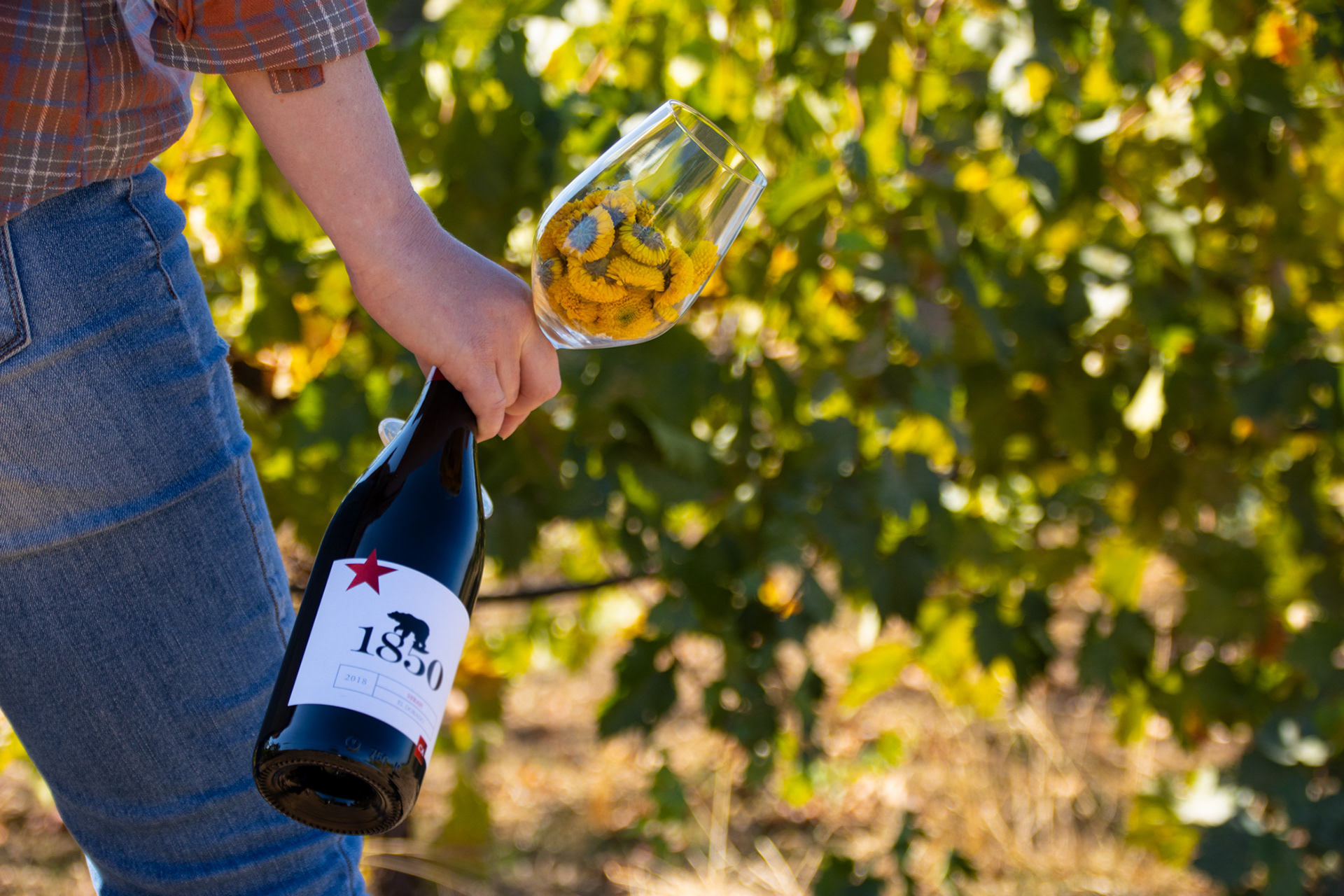 Pic of wine bottle and person holding glass