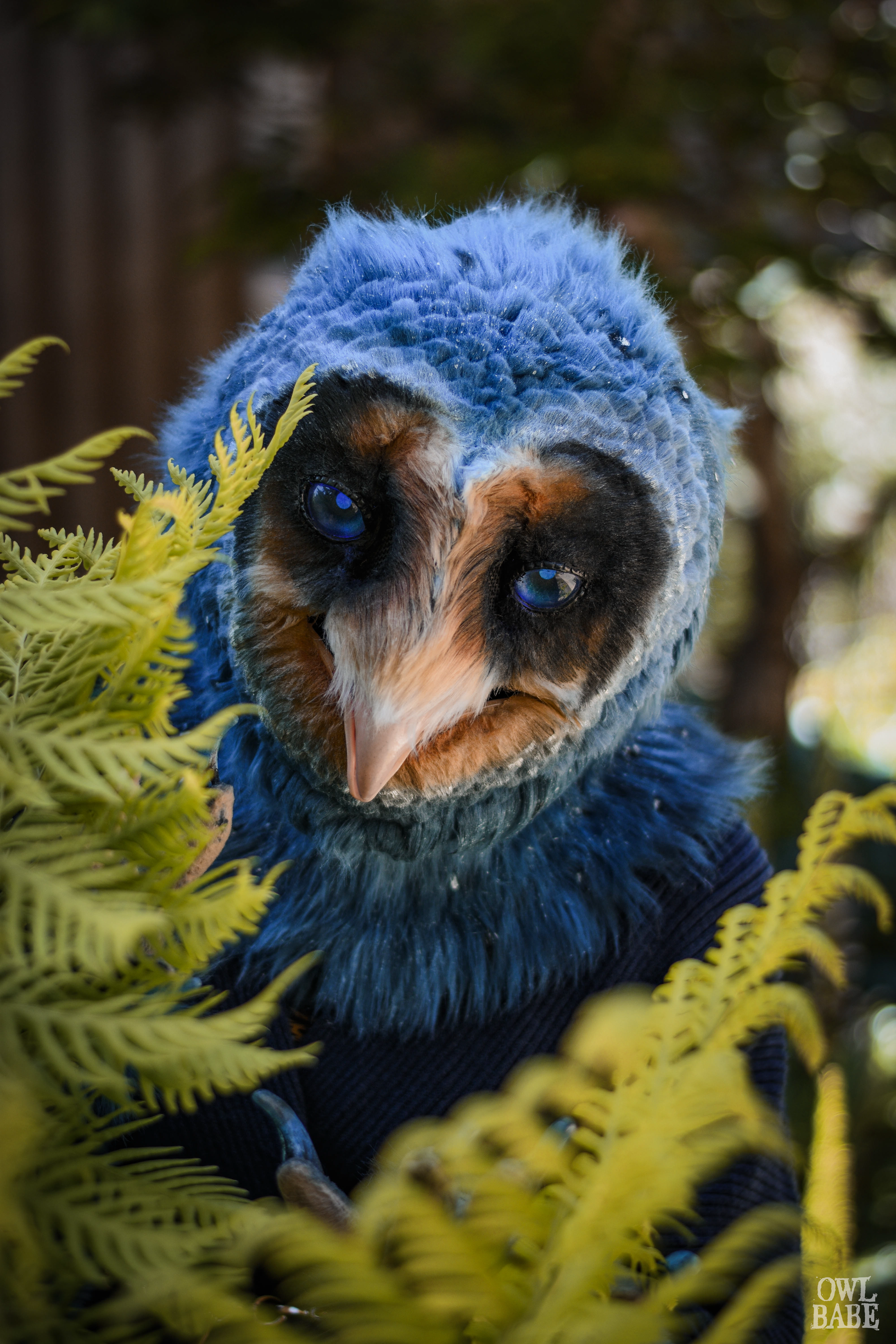 Alunar the Melanistic Owl