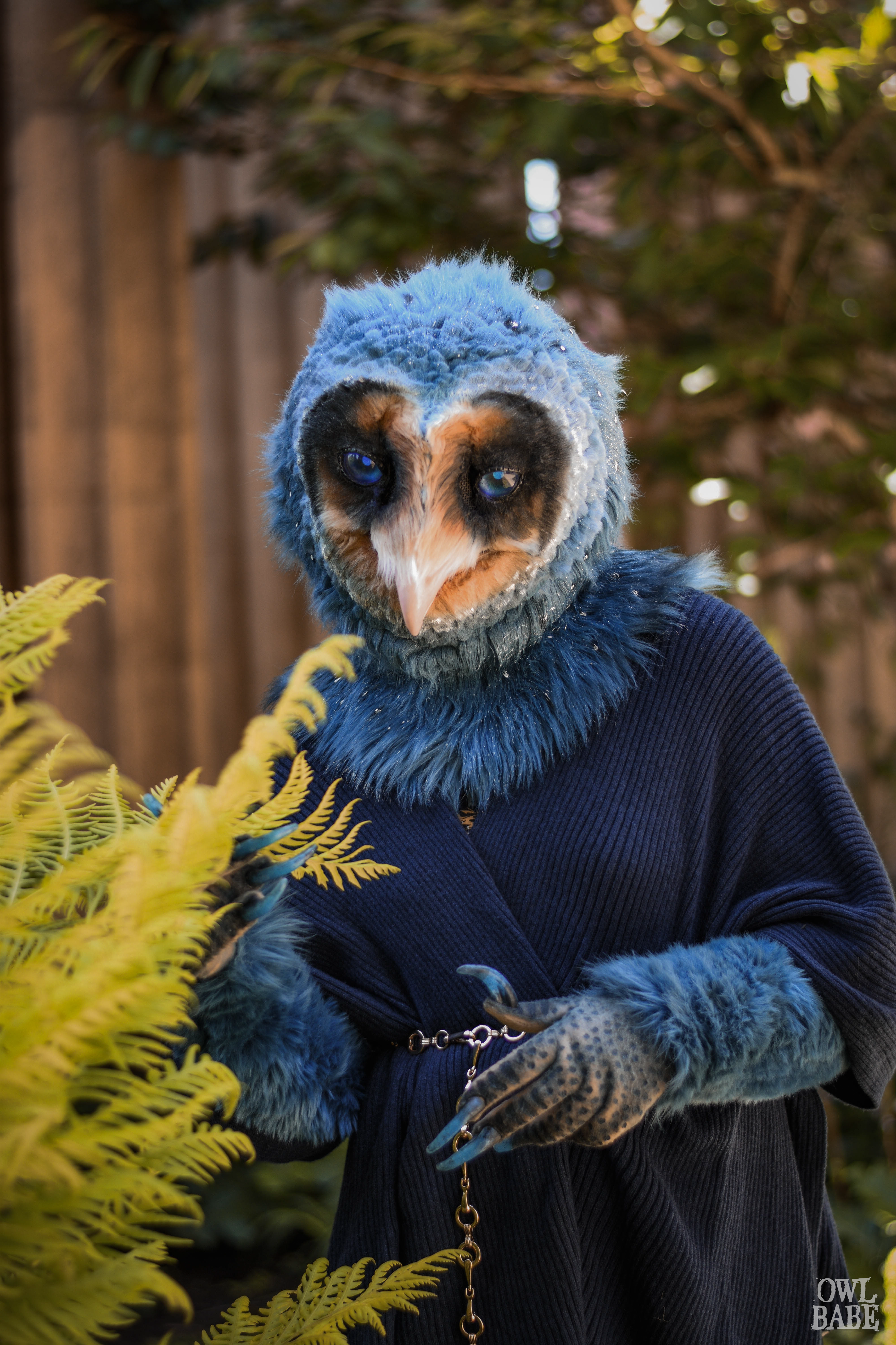 Alunar the Melanistic Owl