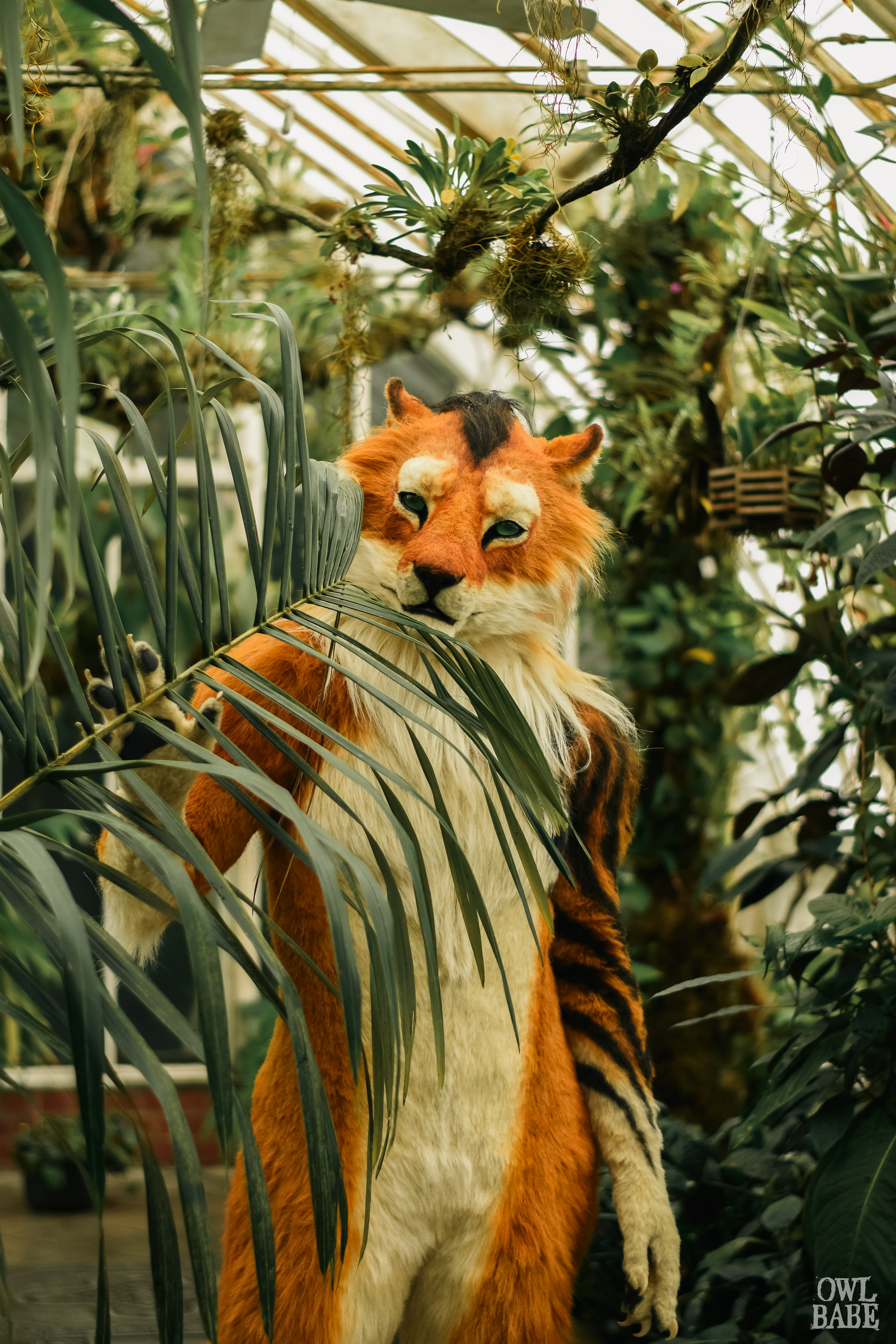 Zhao the Lion