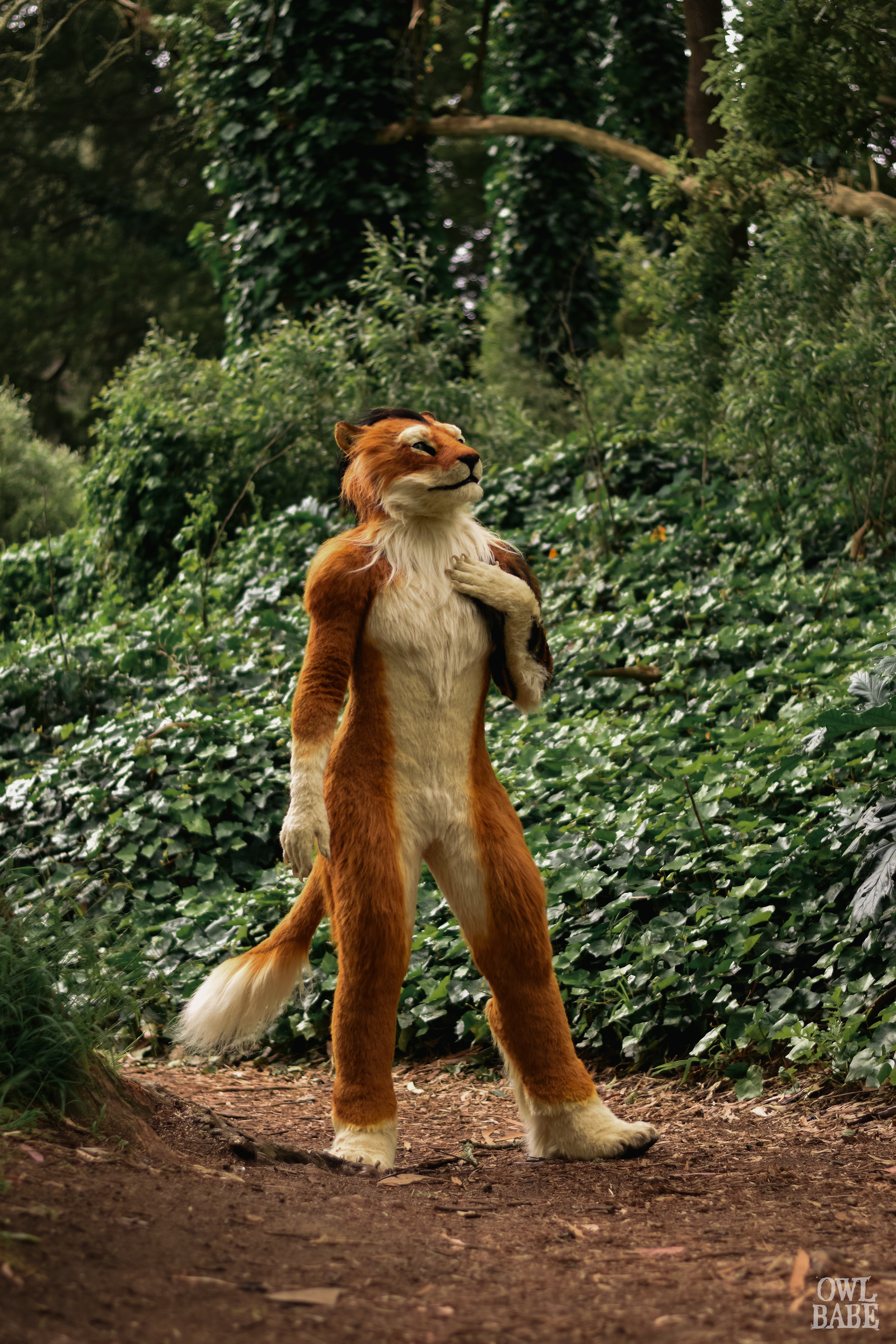 Zhao the Lion