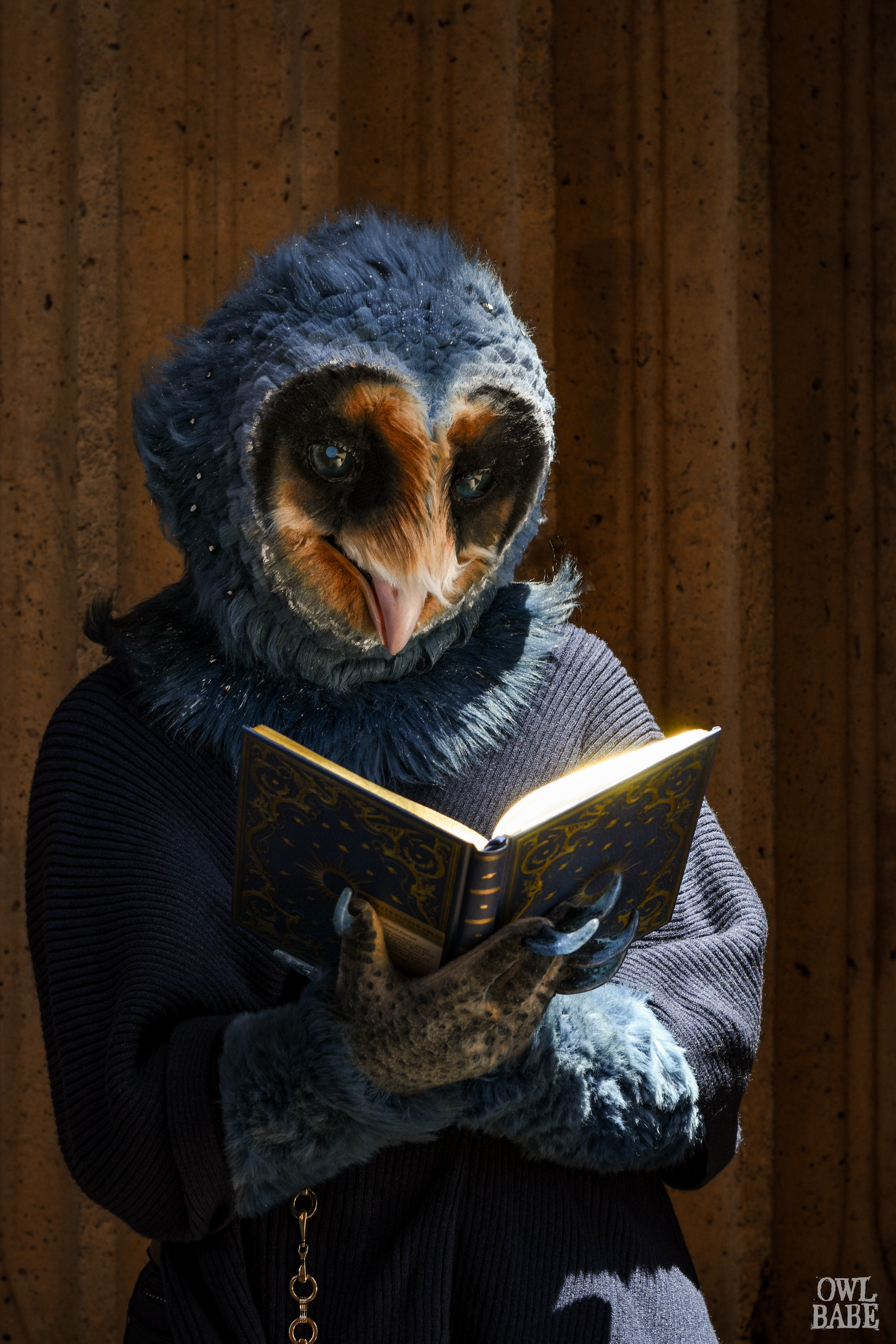 Alunar the Melanistic Owl