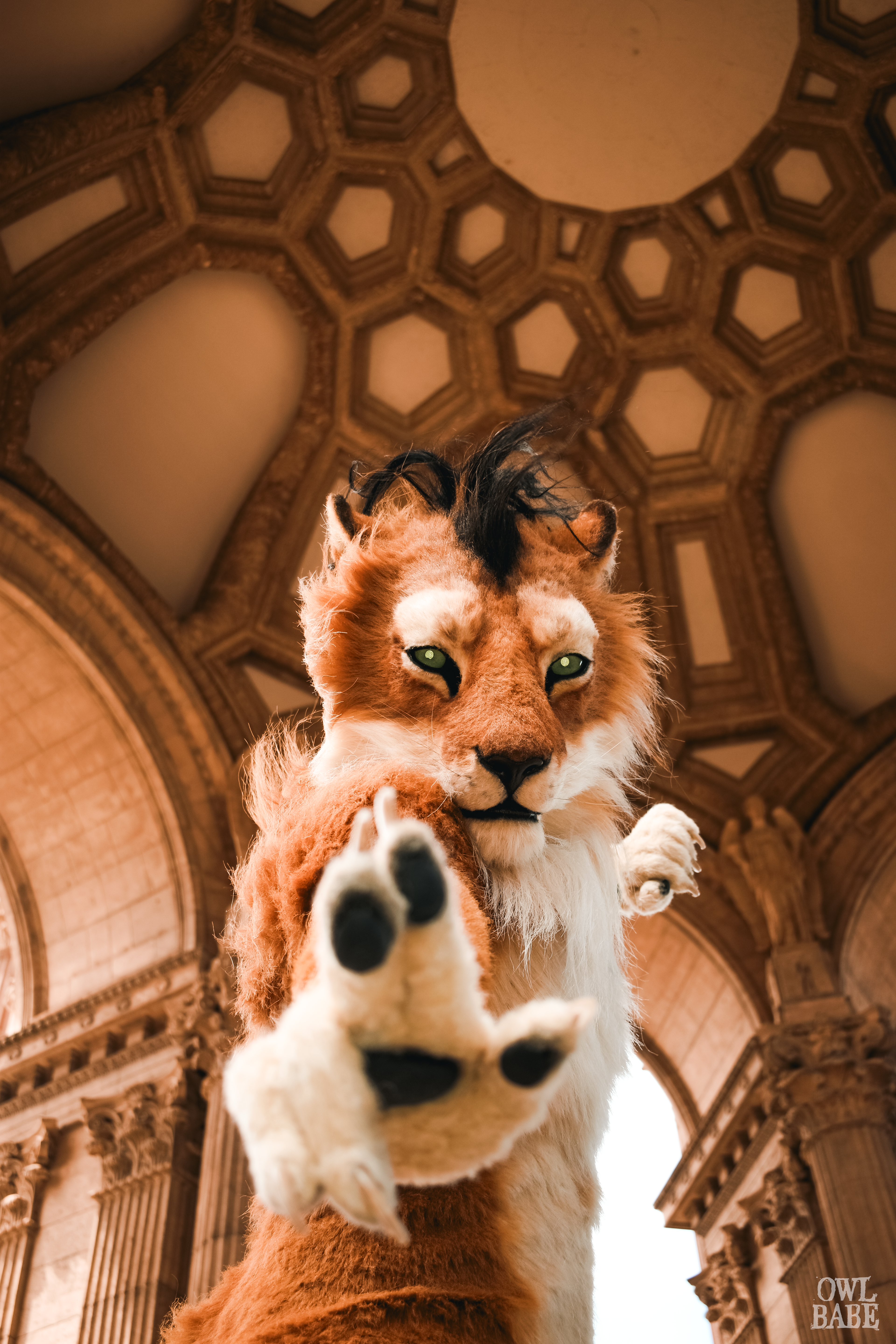 Zhao the Lion