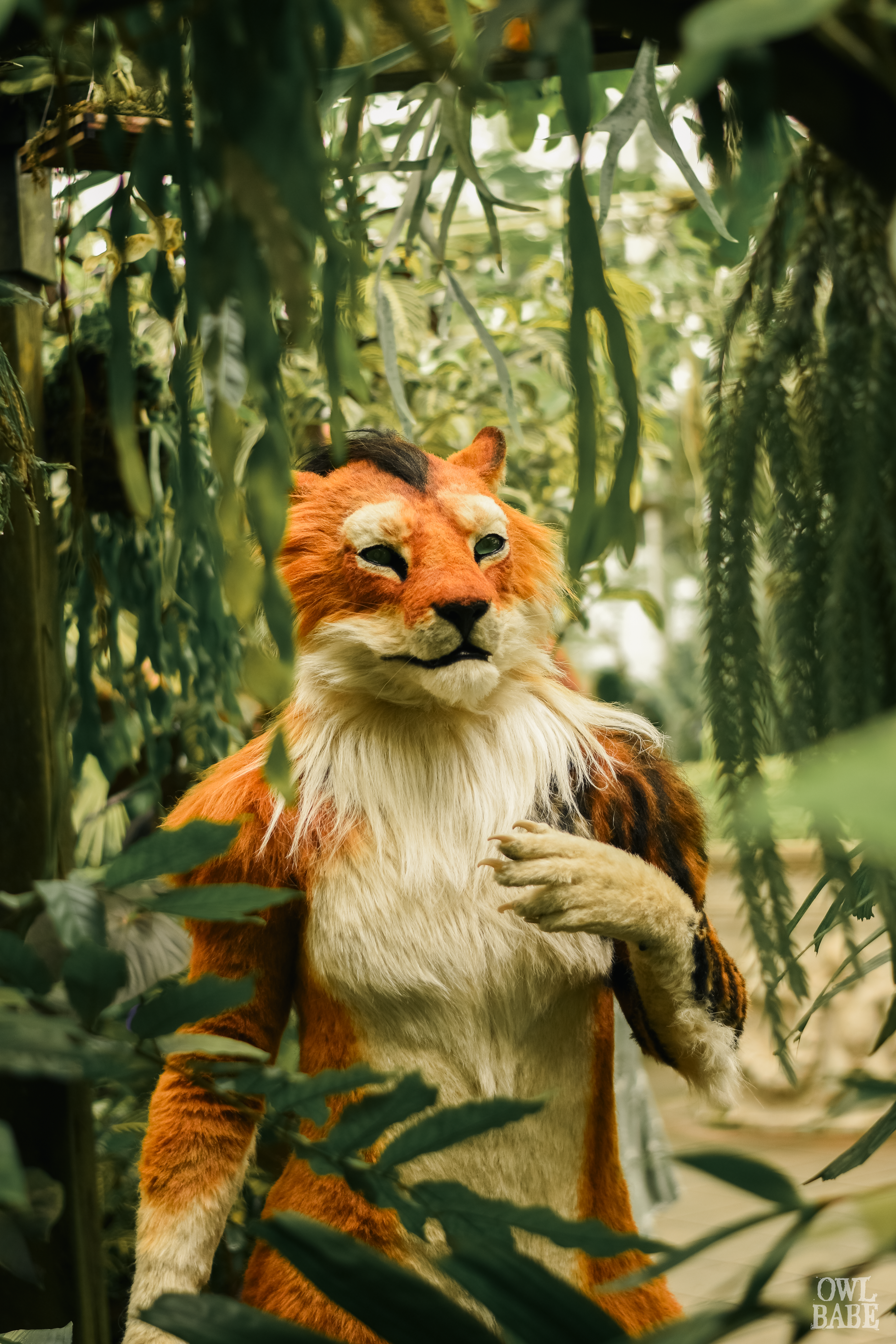 Zhao the Lion