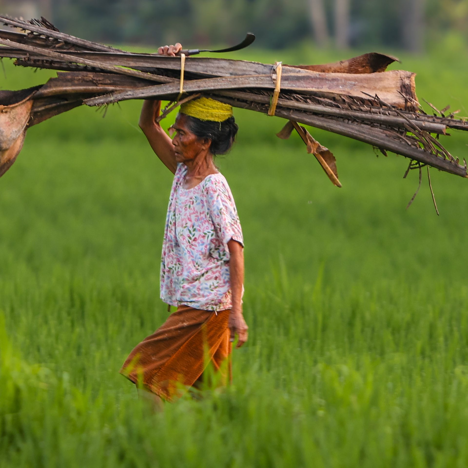 Rice Farmer, Bali