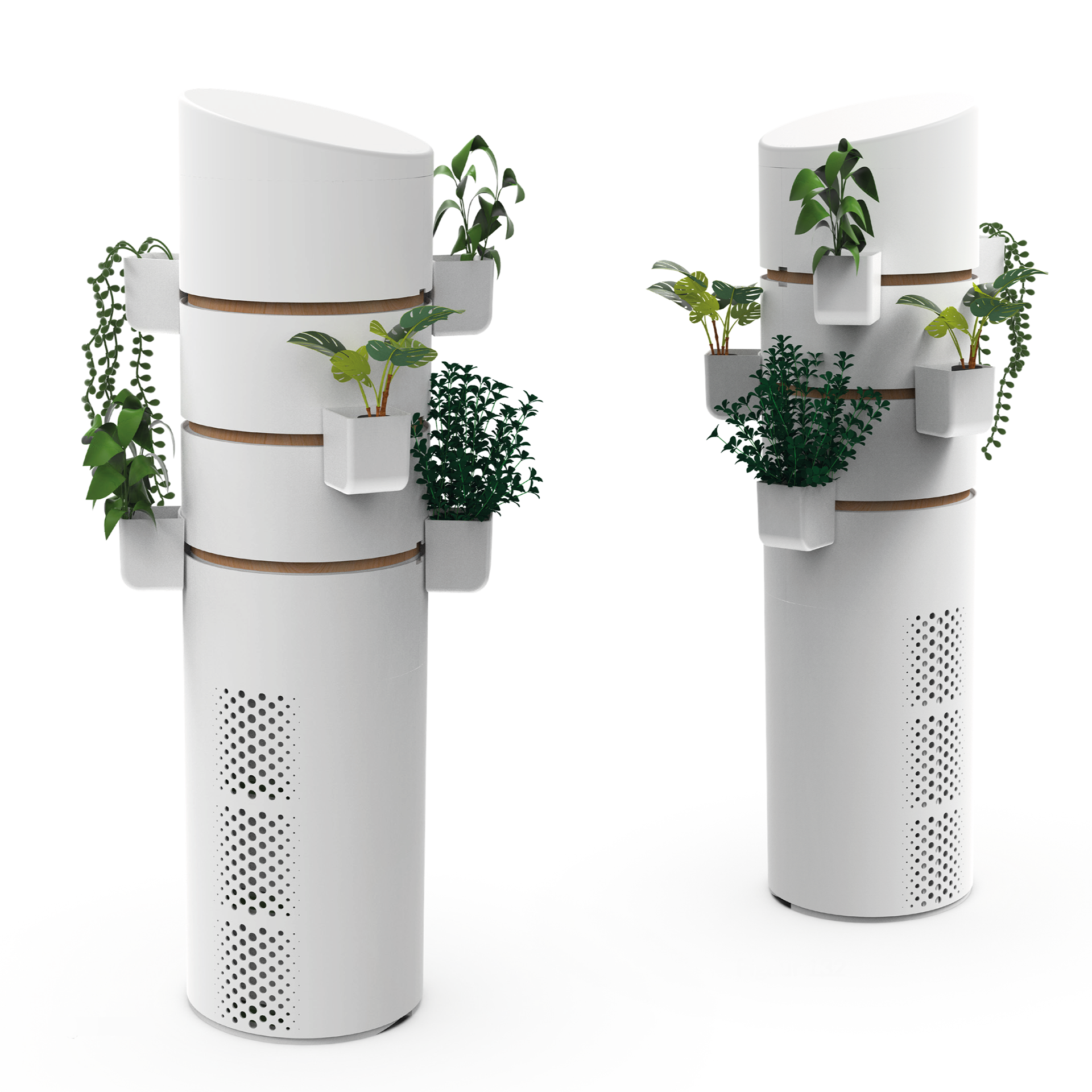 OneLife Plant