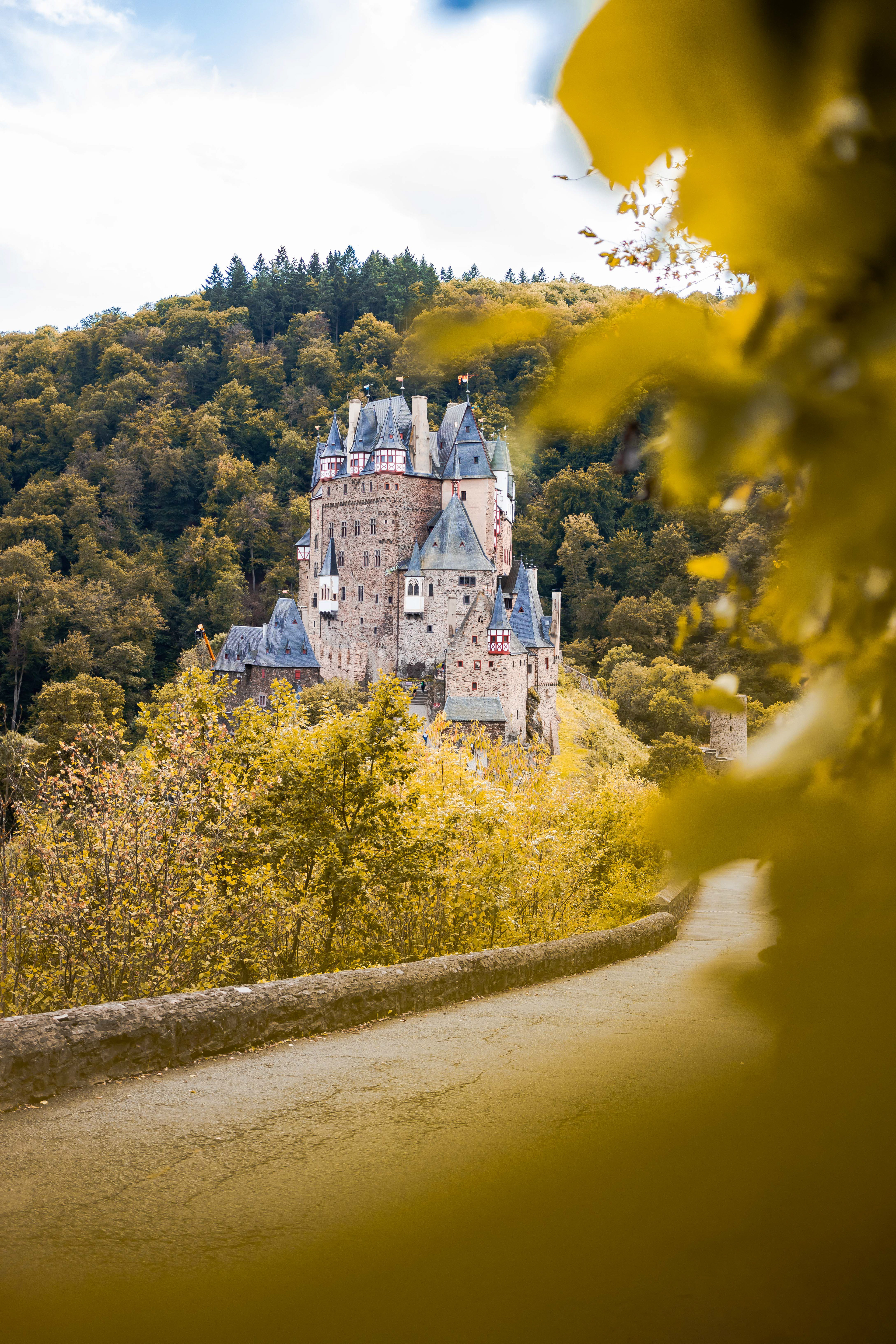 Burg Elz